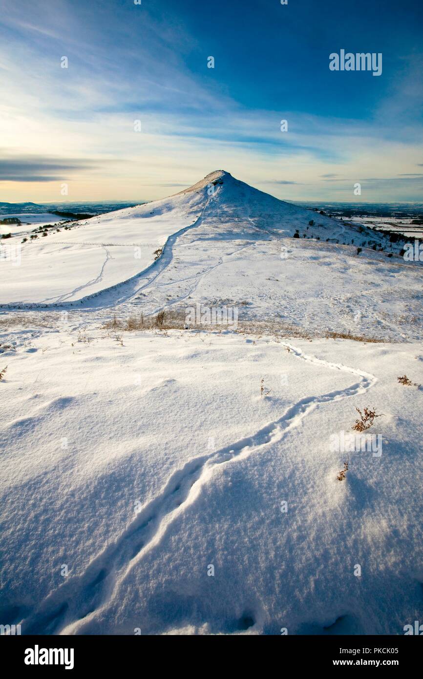 Roseberry Topping, North Yorkshire, 2010. Stockfoto