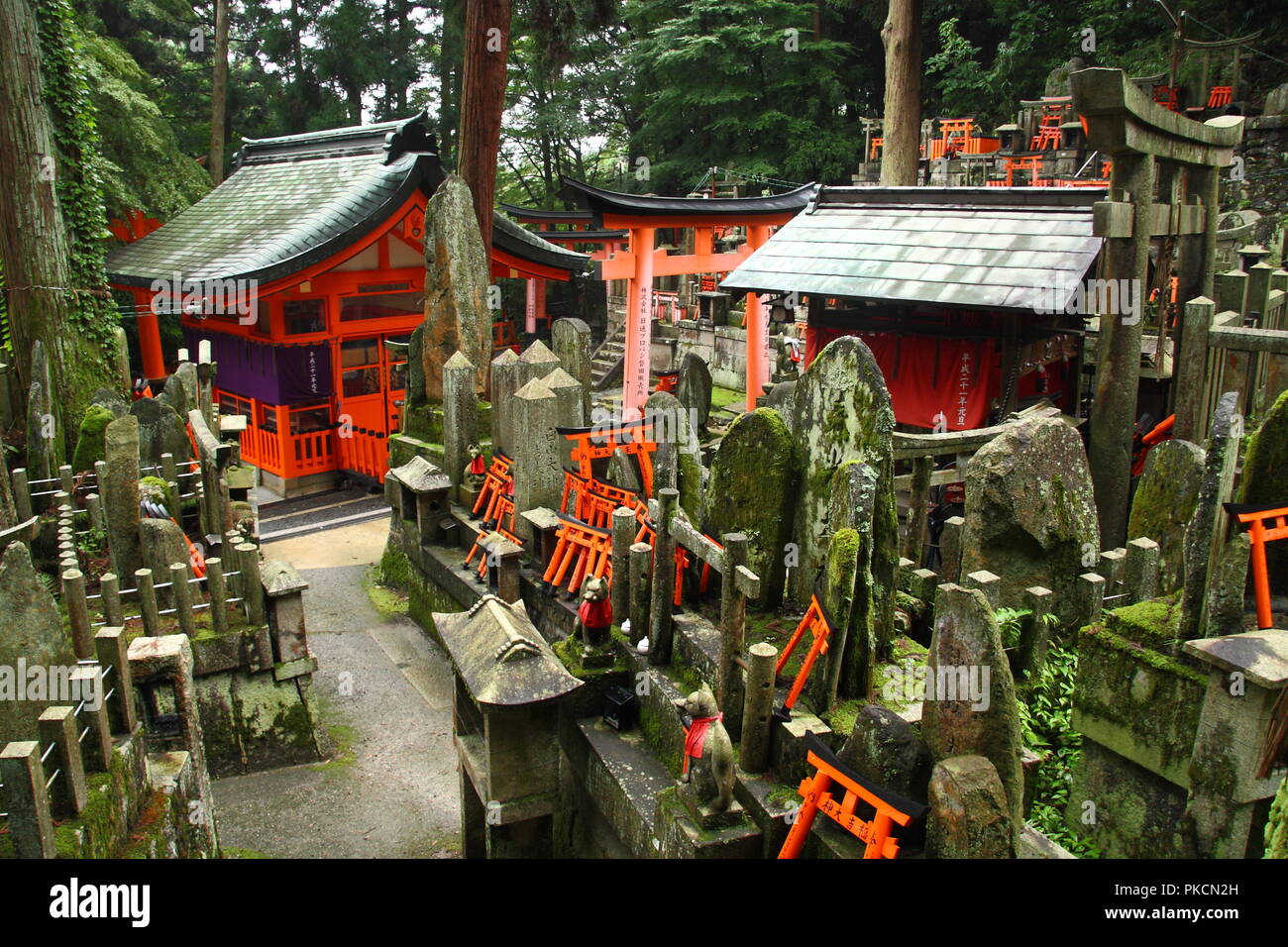 Shinto Schrein im Wald in der Nähe von Kyoto Stockfoto