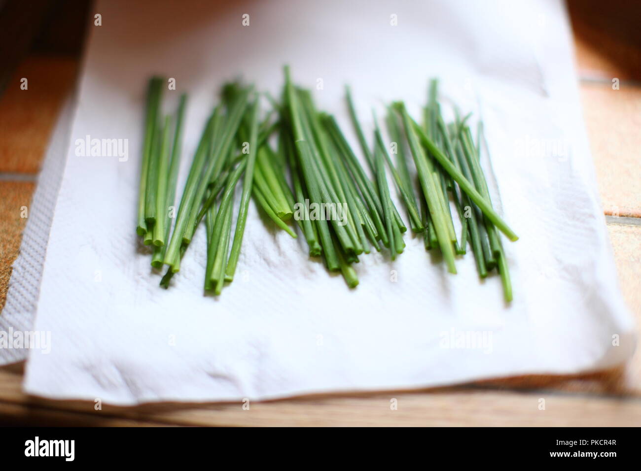 Grüne Schnittlauch trocknen auf dem Papiertuch Stockfoto