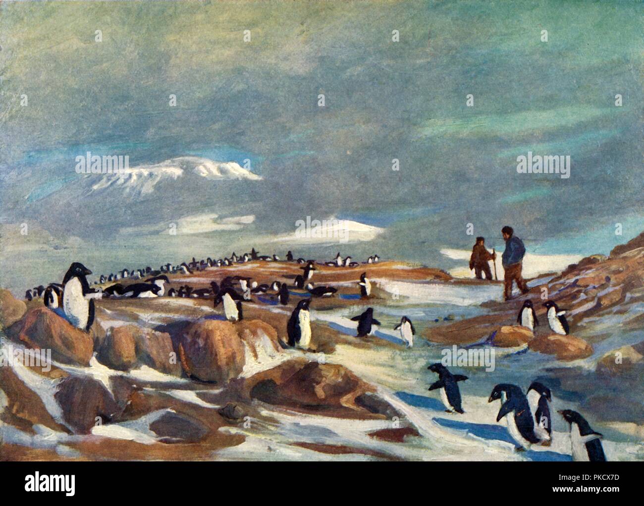 Die Rückkehr der Pinguine', c 1908 (1909). Artist: George Marston. Stockfoto