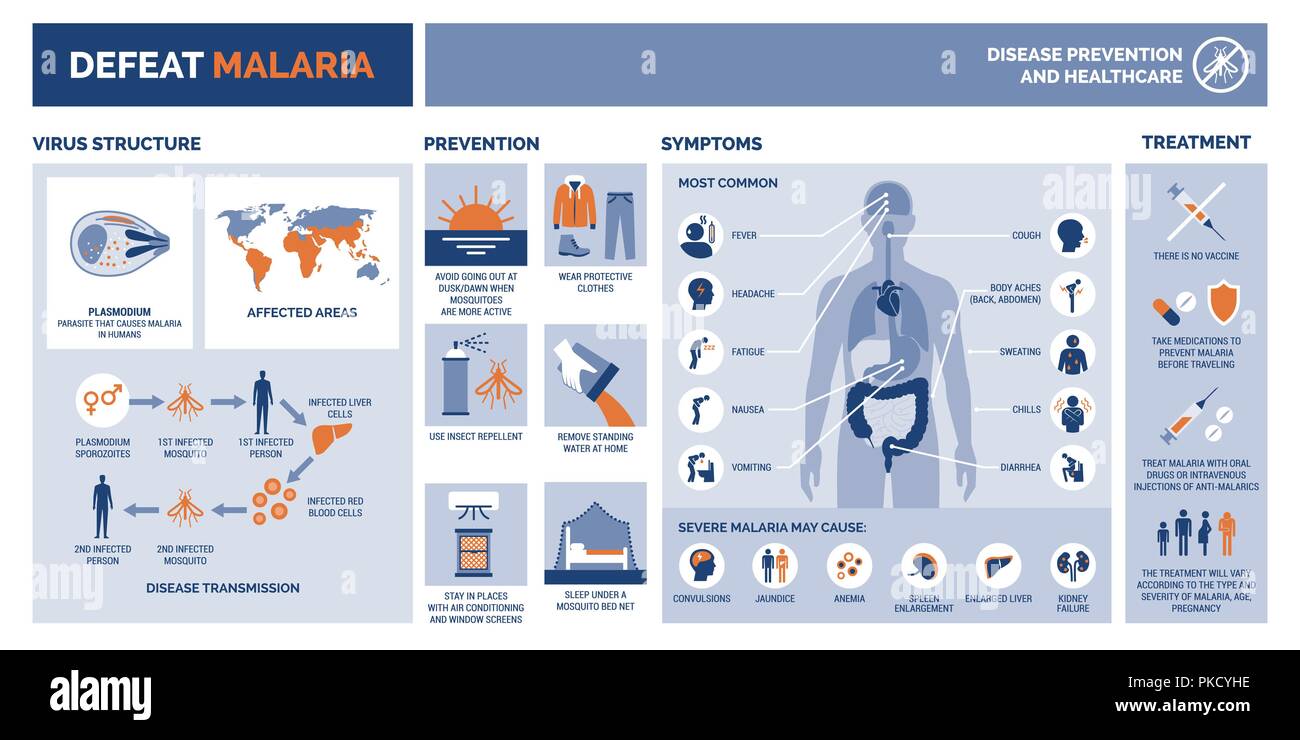 Niederlage Malaria medizinische Vektor Infografik mit Verhütung von Krankheiten, Symptome und Behandlung Stock Vektor