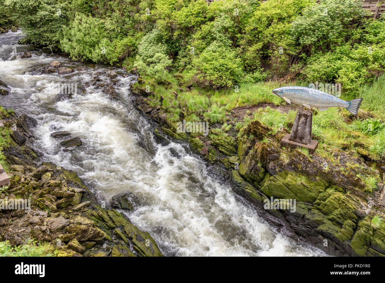 Eine Skulptur mit dem Titel Yeltatzie Lachs durch lokale Künstler Terry Pyles oberhalb der Ketchikan Creek (ein Stream Lachs) über die Creek Street in Ketchikan Stockfoto