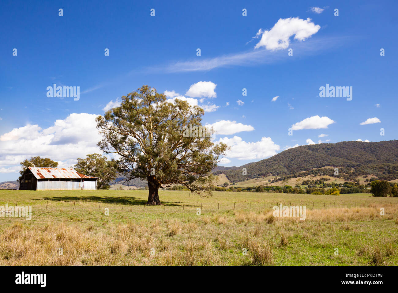 Allans flache Landschaft Australien Stockfoto