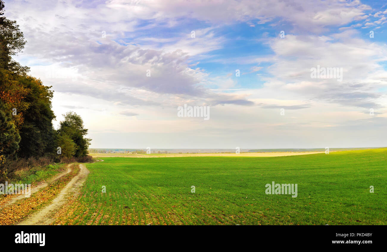 Wicklung Wanderweg in Gelb fallen die Blätter in der Nähe von einem grünen üppigen Weide unter der blauen rippled dramatische Himmel mit weißen Wolken über dem Horizont getrocknet. Krieg Stockfoto