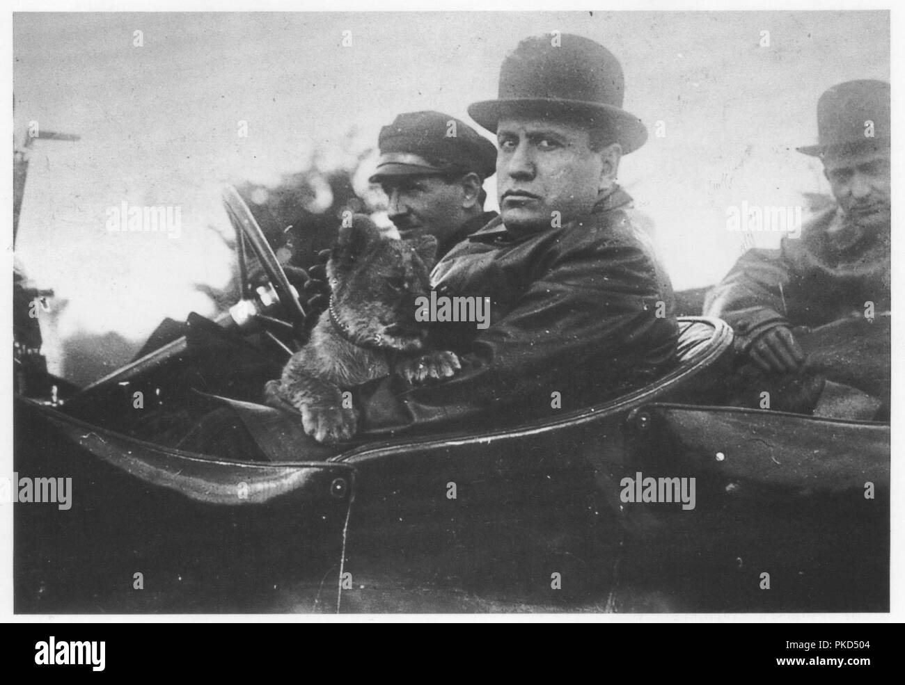 Benito Mussolini die Italienische faschistische Führer in einem oben offenen Auto mit seinem Haustier lion Cub "Ras" im Jahre 1924, nachdem er Diktator Italiens Stockfoto