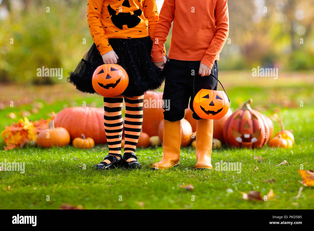 Kinder in schwarz und orange Hexe Kostüm und Hut spielen mit Kürbis und Spinne im Herbst Park auf Halloween. Kinder Trick oder Festlichkeit. Junge und Mädchen Carving Stockfoto