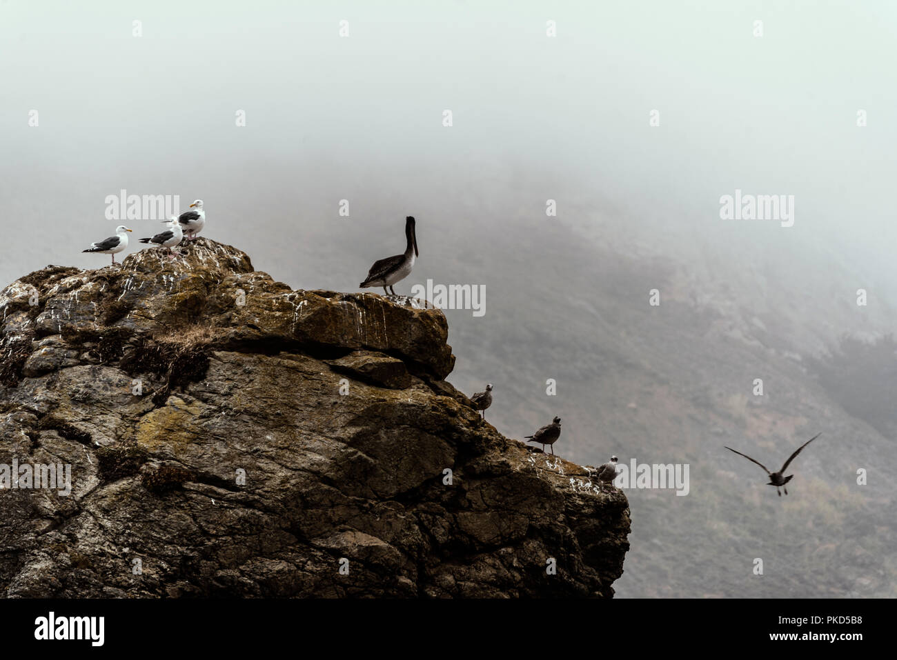 Flugverspätungen Stockfoto