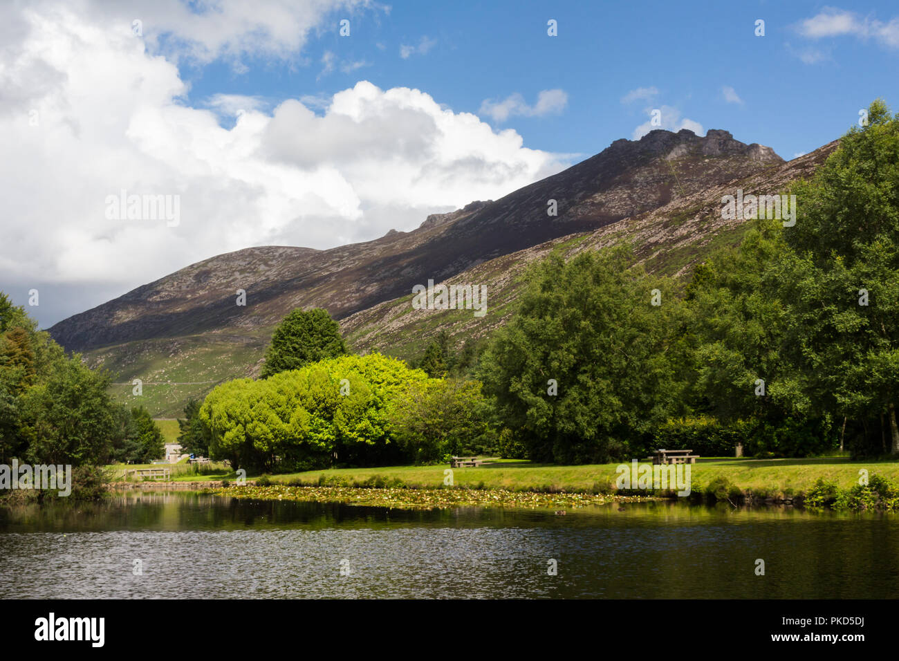 Slieve Binnian Berg, einer der Mourne Mountains, aus stillen Tal in der Nähe von Kilkeel, County Down, Nordirland gesehen. Stockfoto