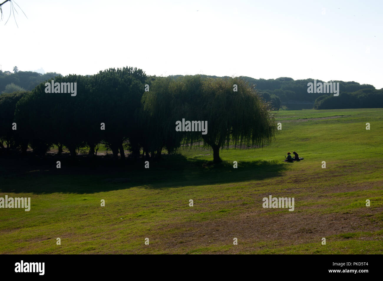 Das City Park in Porto ist eine der größten städtischen Park in Portugal. Stockfoto