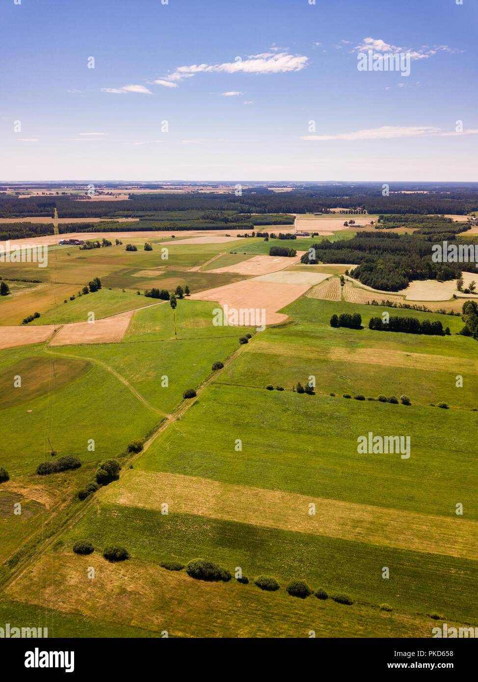 Schönen Sommer Felder von oben. Antenne Landschaft mit schönen Weizenfelder, Stockfoto