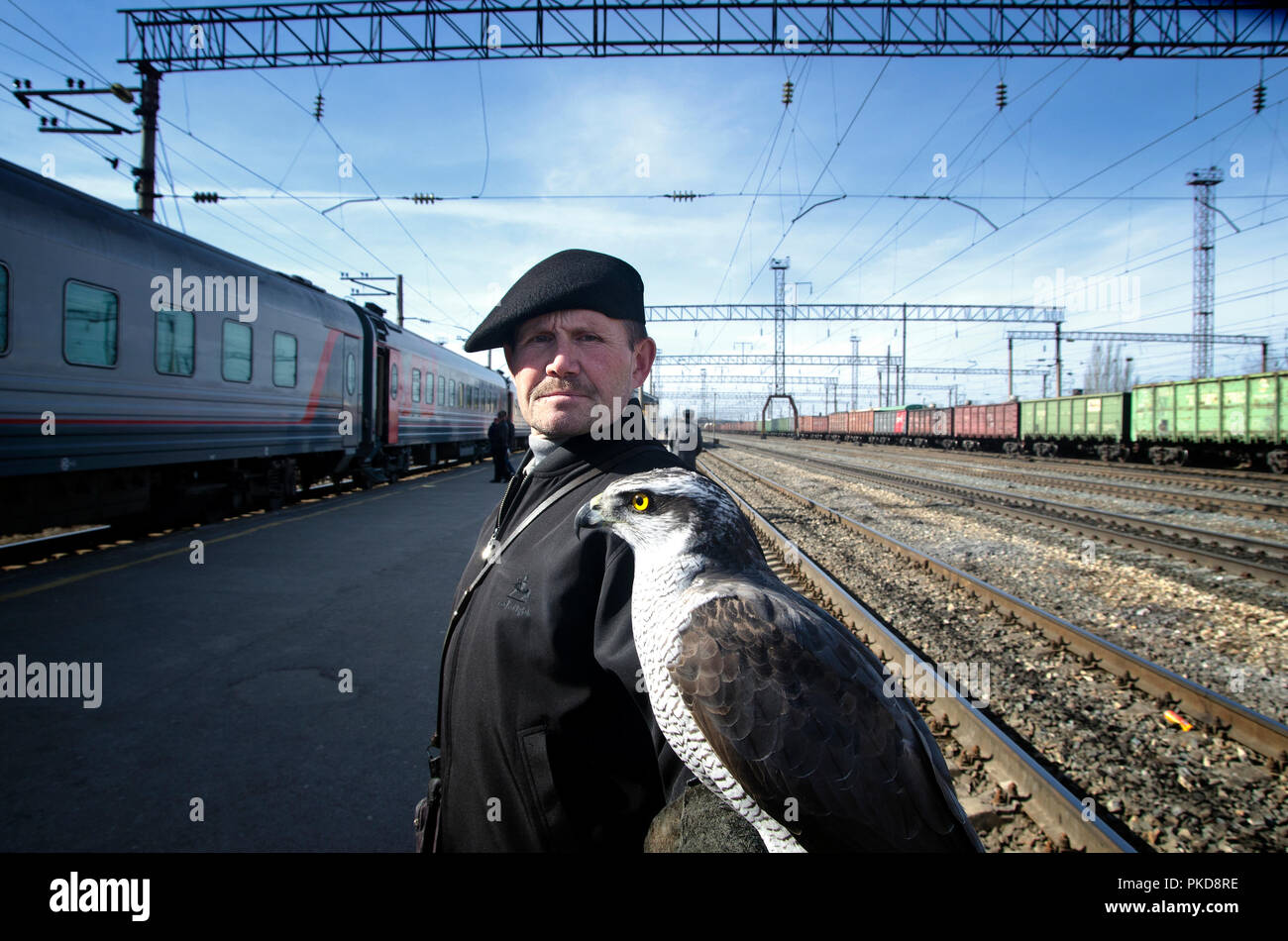 Sibirien, Russland - MÄRZ 20, 2018: Der russische Mann da eine Show im Bahnhof mit einem Hawk. Ulan Ude, Russland. Stockfoto