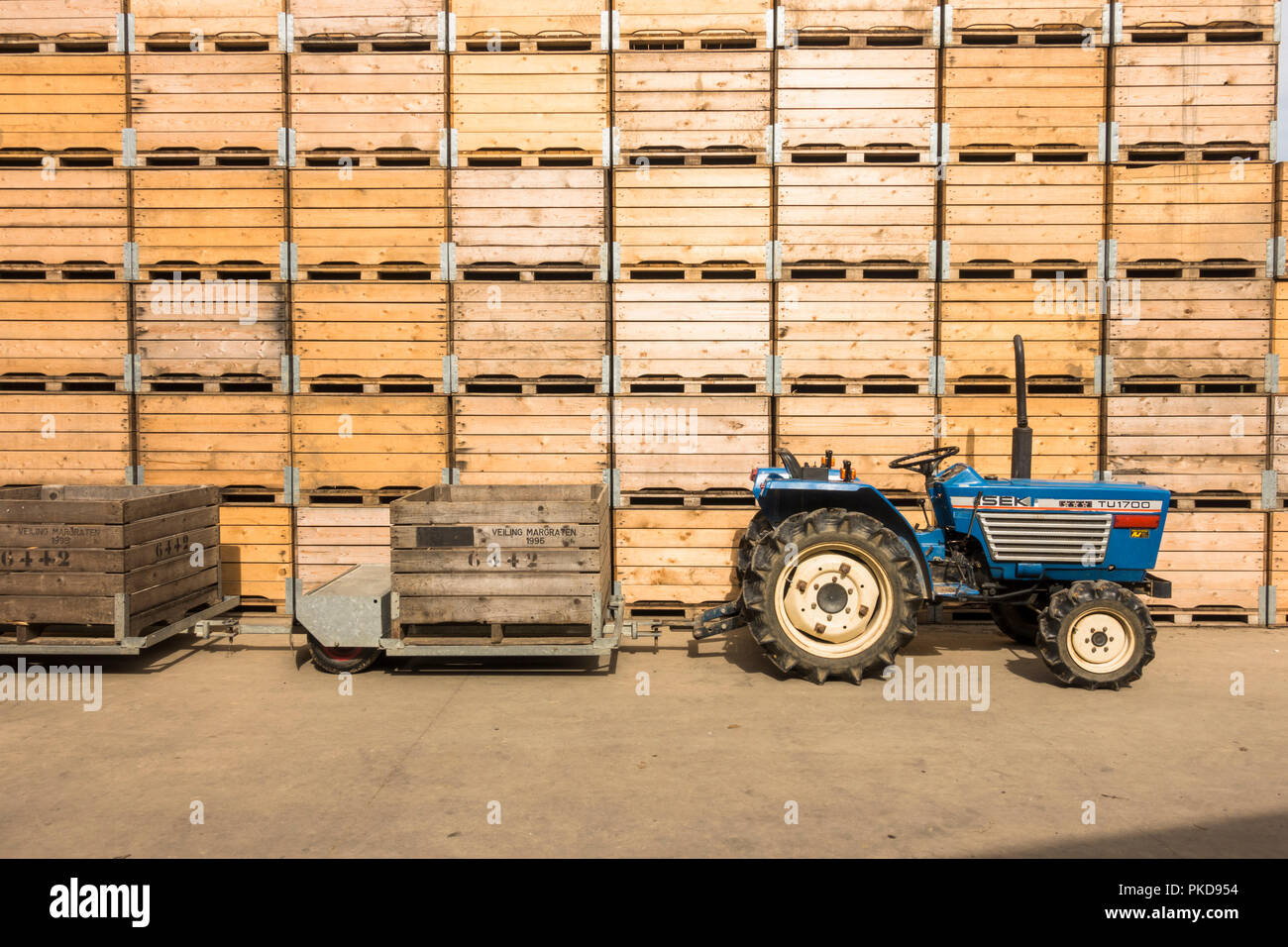 Traktor mit Anhänger auf Obst Farm, Holzkisten Obst hinter sich zu sammeln. Stockfoto