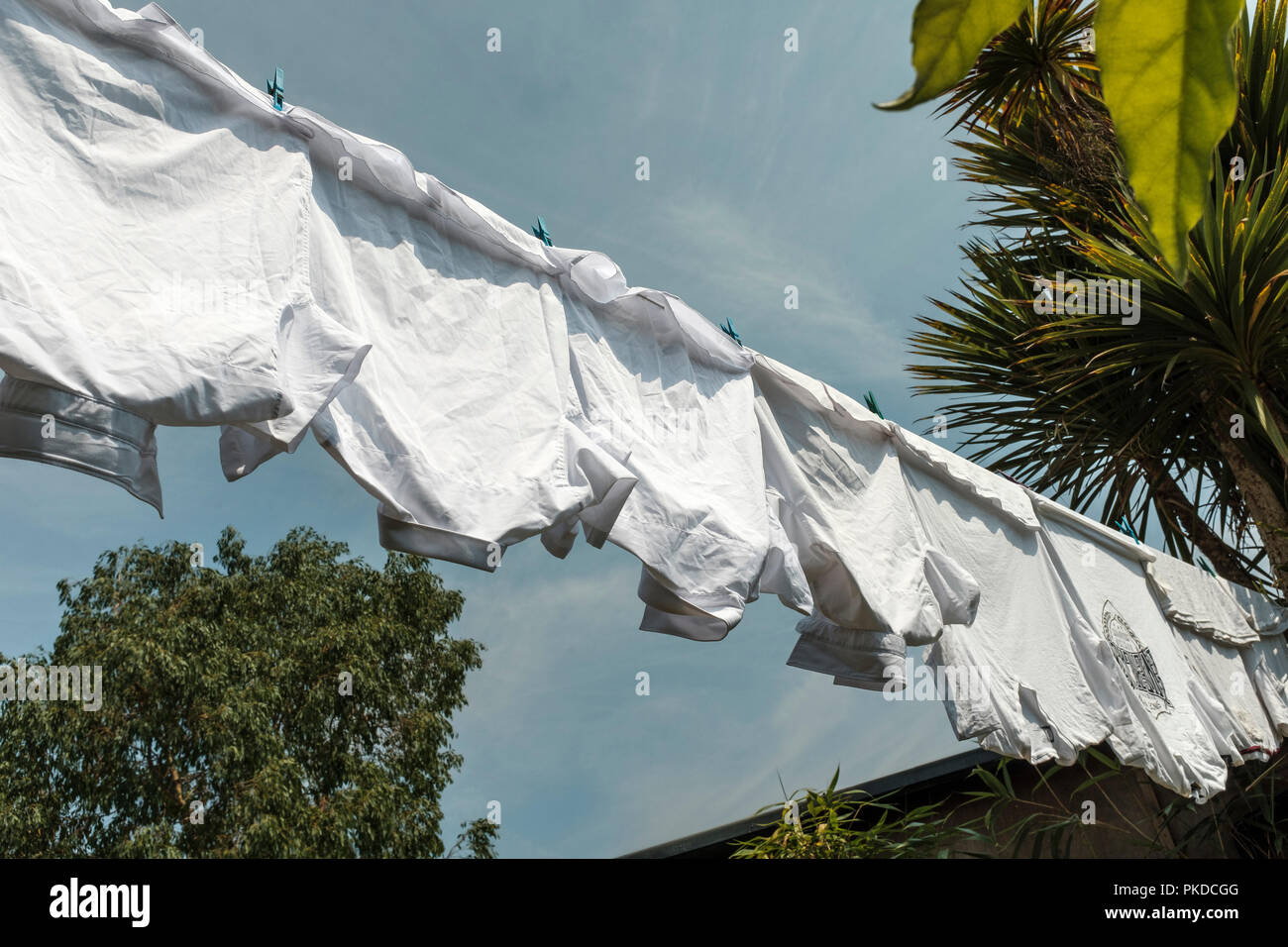 Wäscheservice - weiße Hemden Schuluniform auf Wäscheleine, Großbritannien Stockfoto