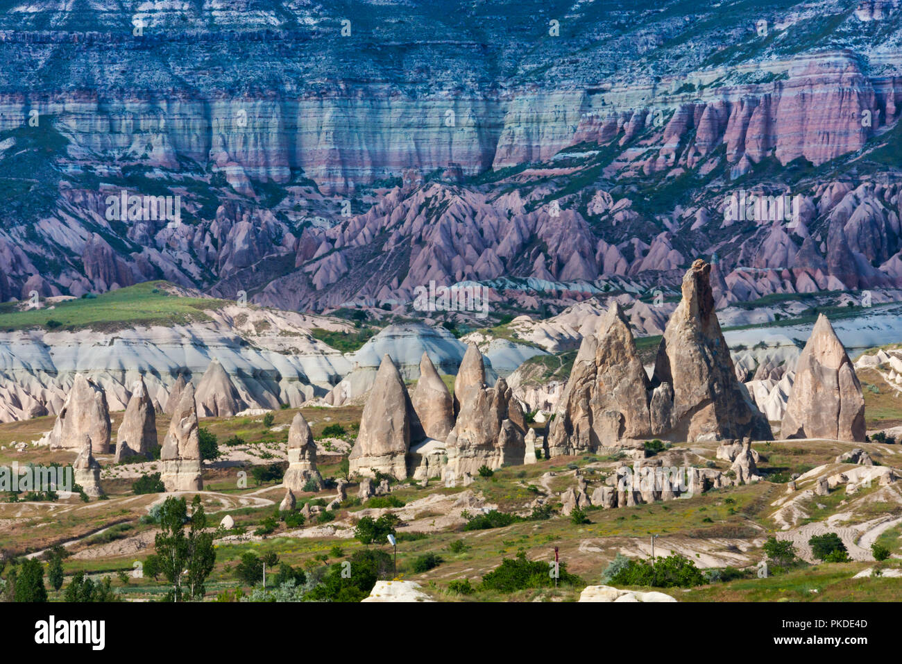 Felsformationen im Tal, Göreme, Kappadokien, Türkei (UNESCO Weltkulturerbe) Stockfoto