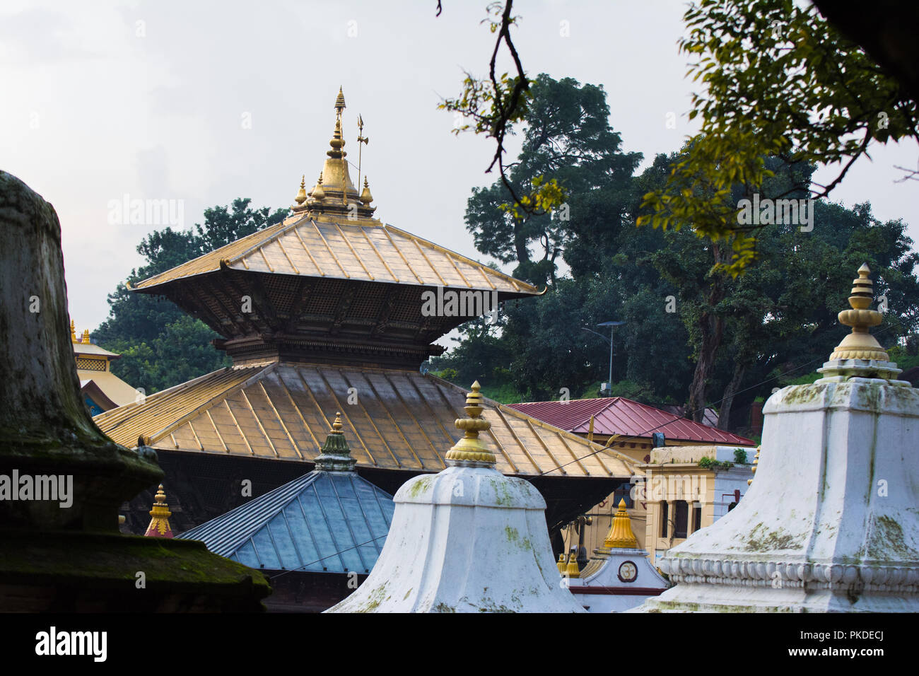 Pashupatinath Krone Stockfoto