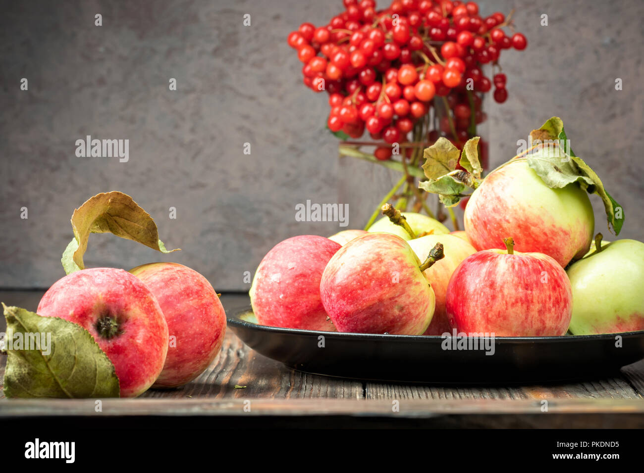 Noch immer leben Beeren eines Viburnum und Garten saisonal Äpfel in Platten Stockfoto