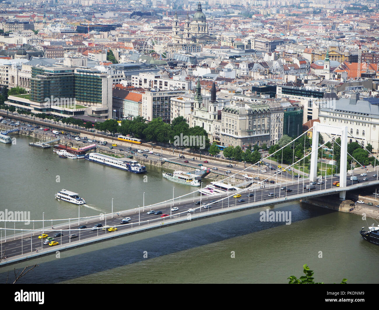 Blick auf die Stadt Budapest und der Elisabeth Brücke Stockfoto