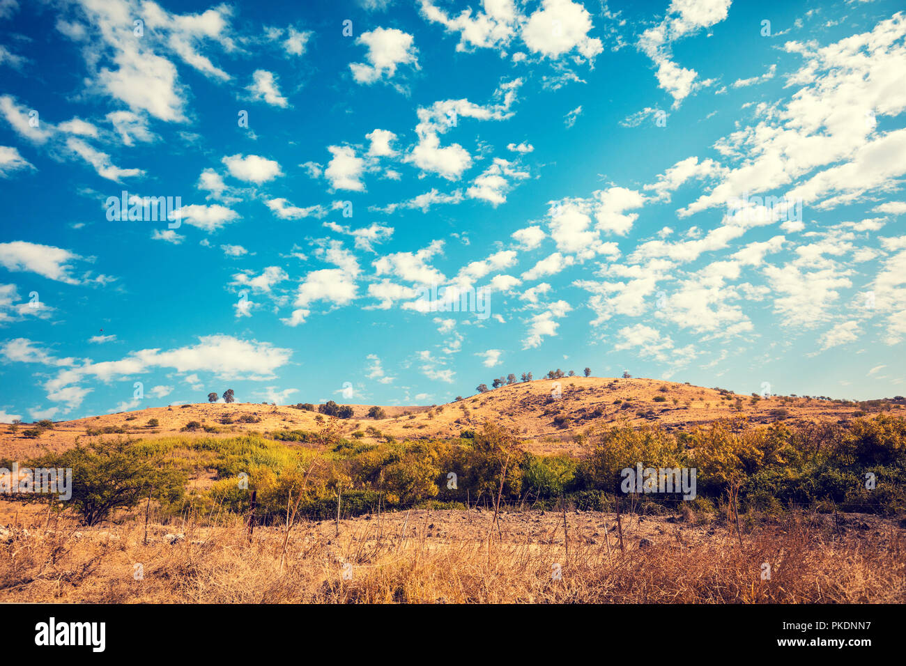 Berglandschaft mit blauen Himmel. Golanhöhen, Israel Stockfoto