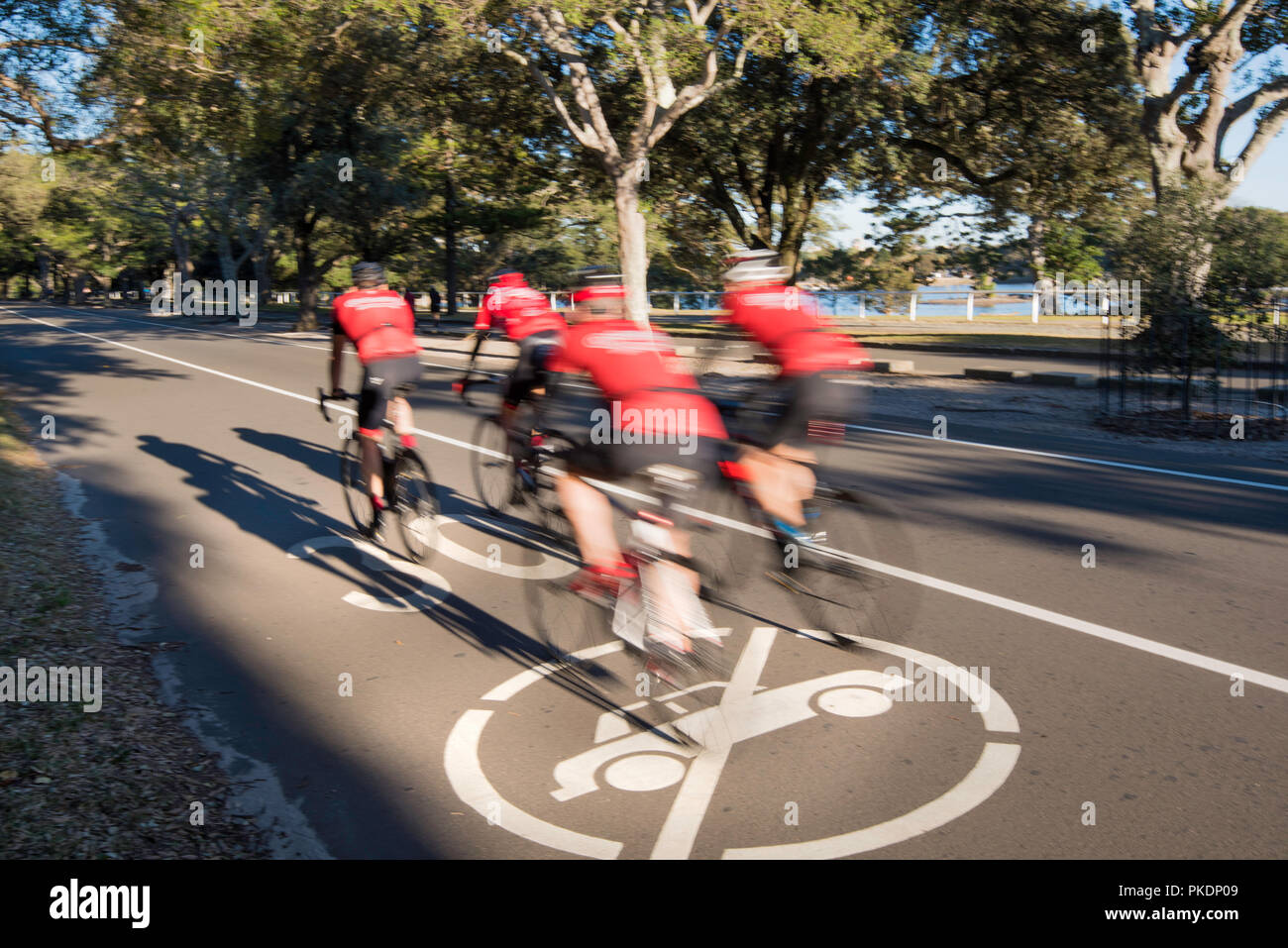 Teilweise verschwommen Radfahrer das Tragen der roten Tops, Hemden zusammen reiten in 30 km Speed Limit, kein Auto Zone in Centennial Park, Sydney, Australien Stockfoto