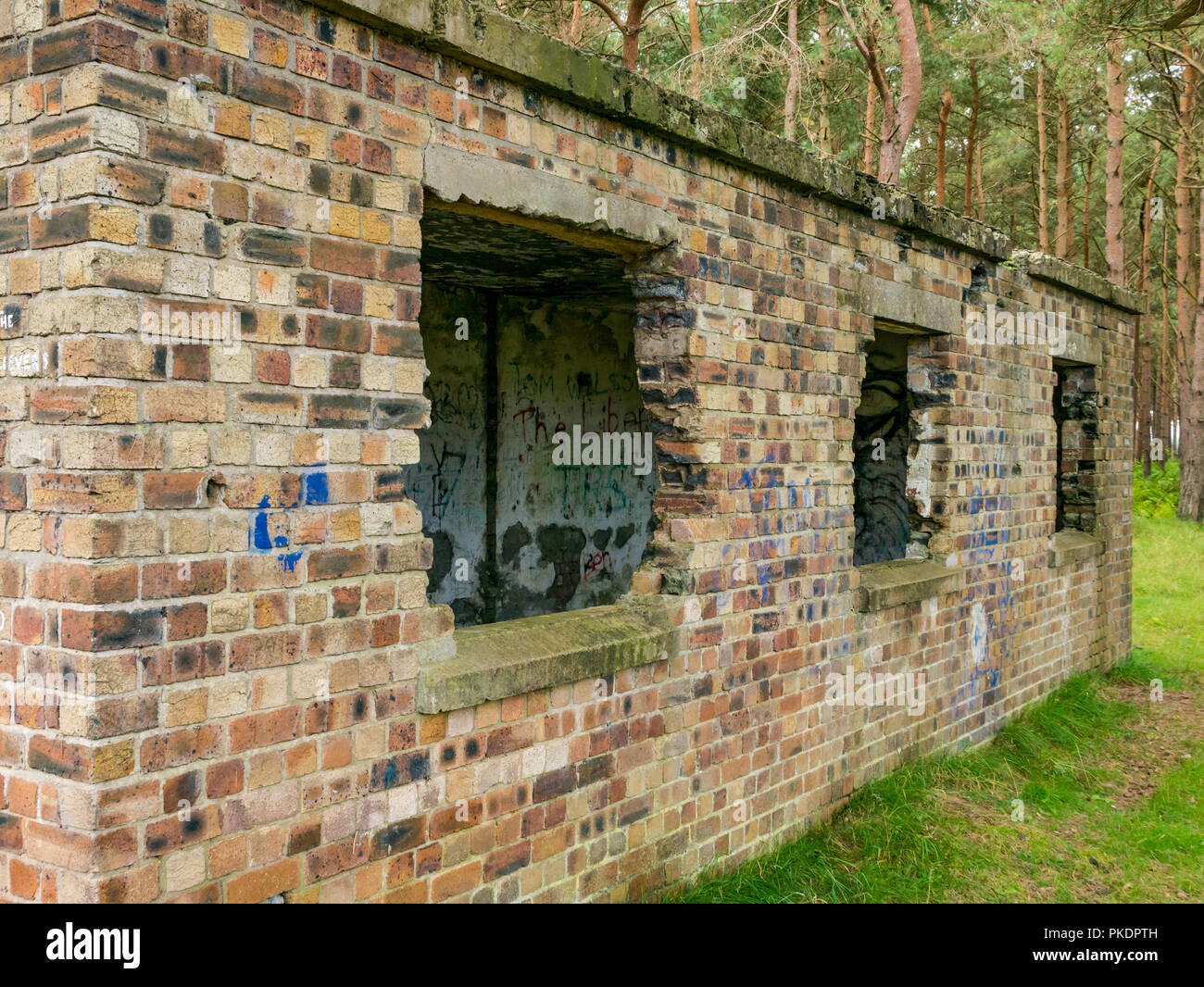 Ruiniert den Zweiten Weltkrieg Backsteinbau, John Muir Country Park im Scots Pine Forest, East Lothian, Schottland, Großbritannien Stockfoto