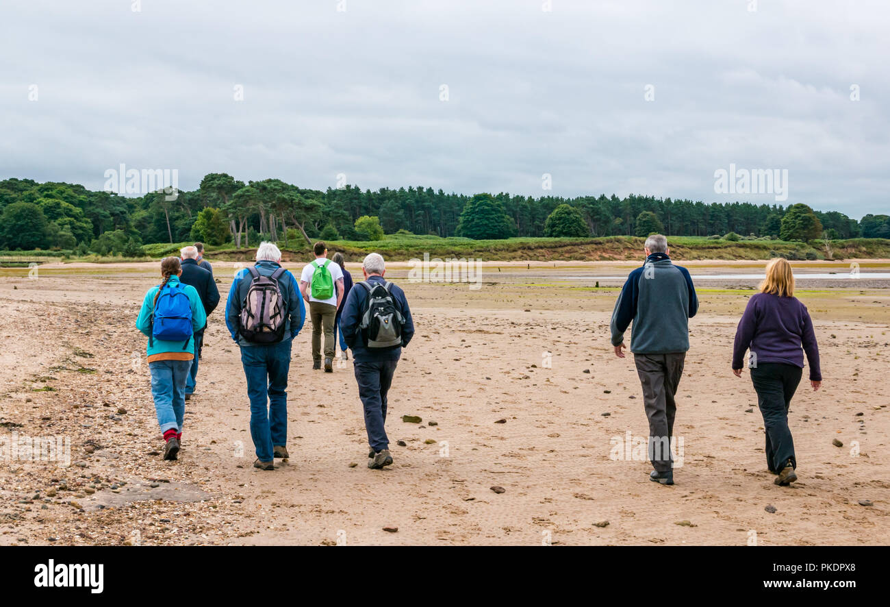 Gruppe von Wanderern auf geführte Wanderung auf Hedderwck Strand, John Muir Country Park, Dunbar, East Lothian, Schottland, Großbritannien Stockfoto
