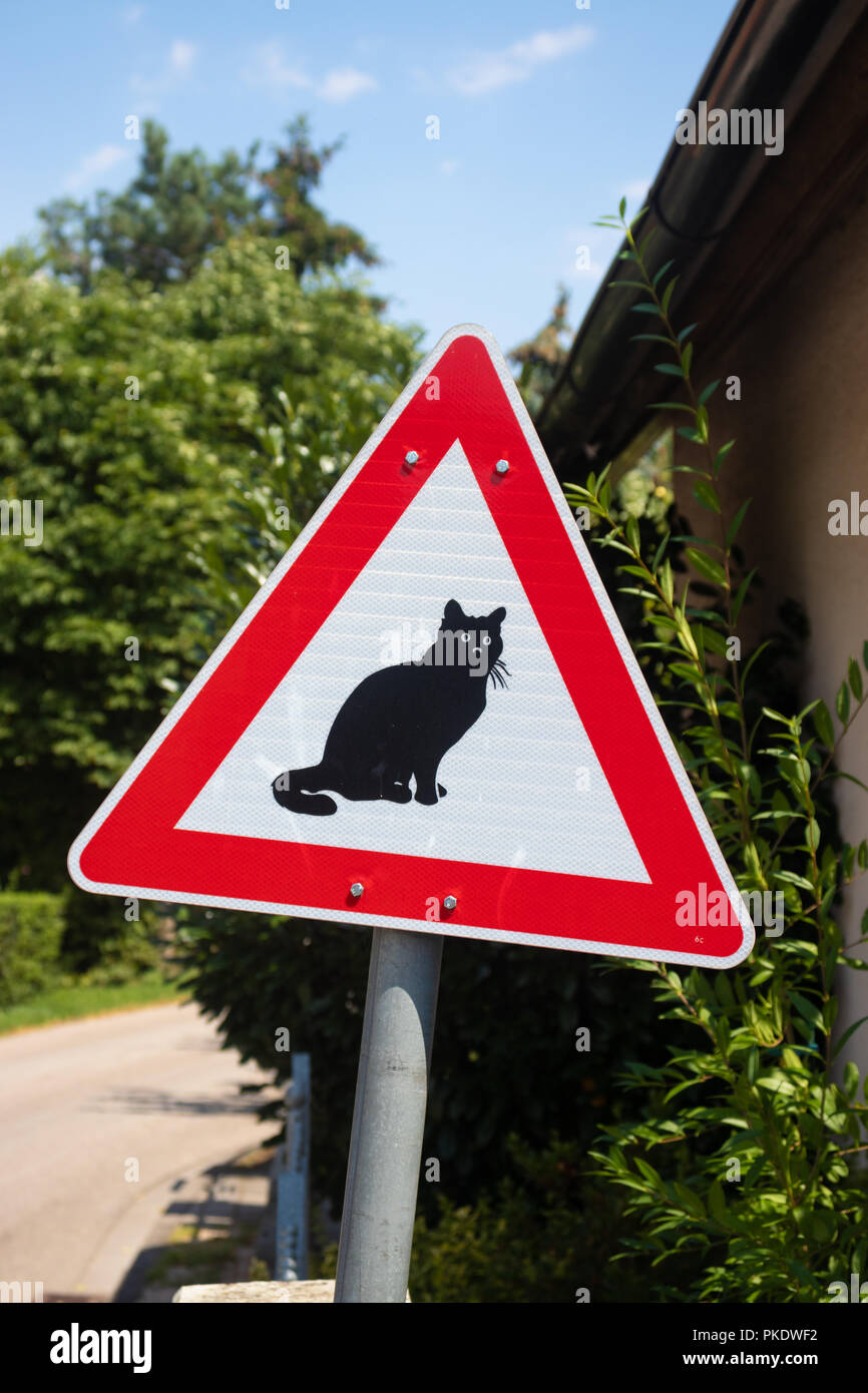 Eine ungewöhnliche Schild in Deutschland Autofahrer rechtzeitig über Katzen. Stockfoto