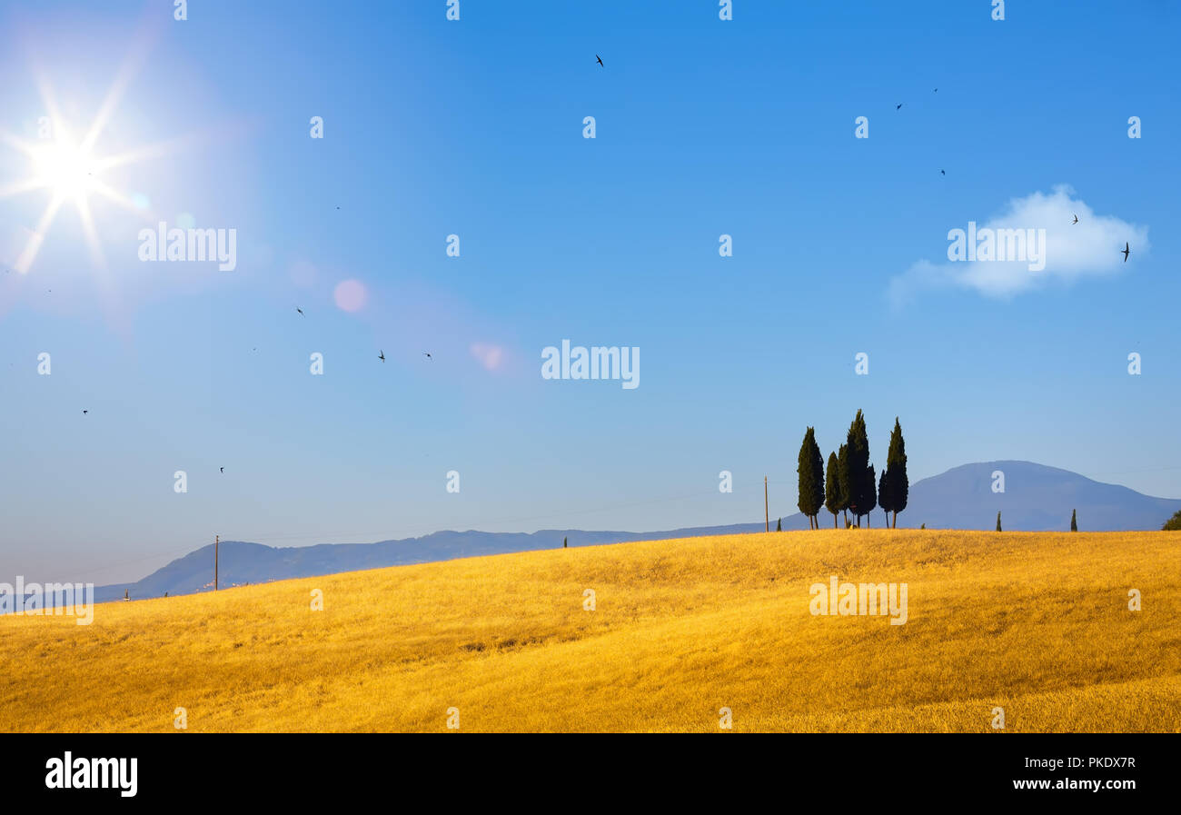 Typische Toskana Landschaft; Sonnenuntergang über sanfte Hügel und in der Toskana Ackerland Stockfoto