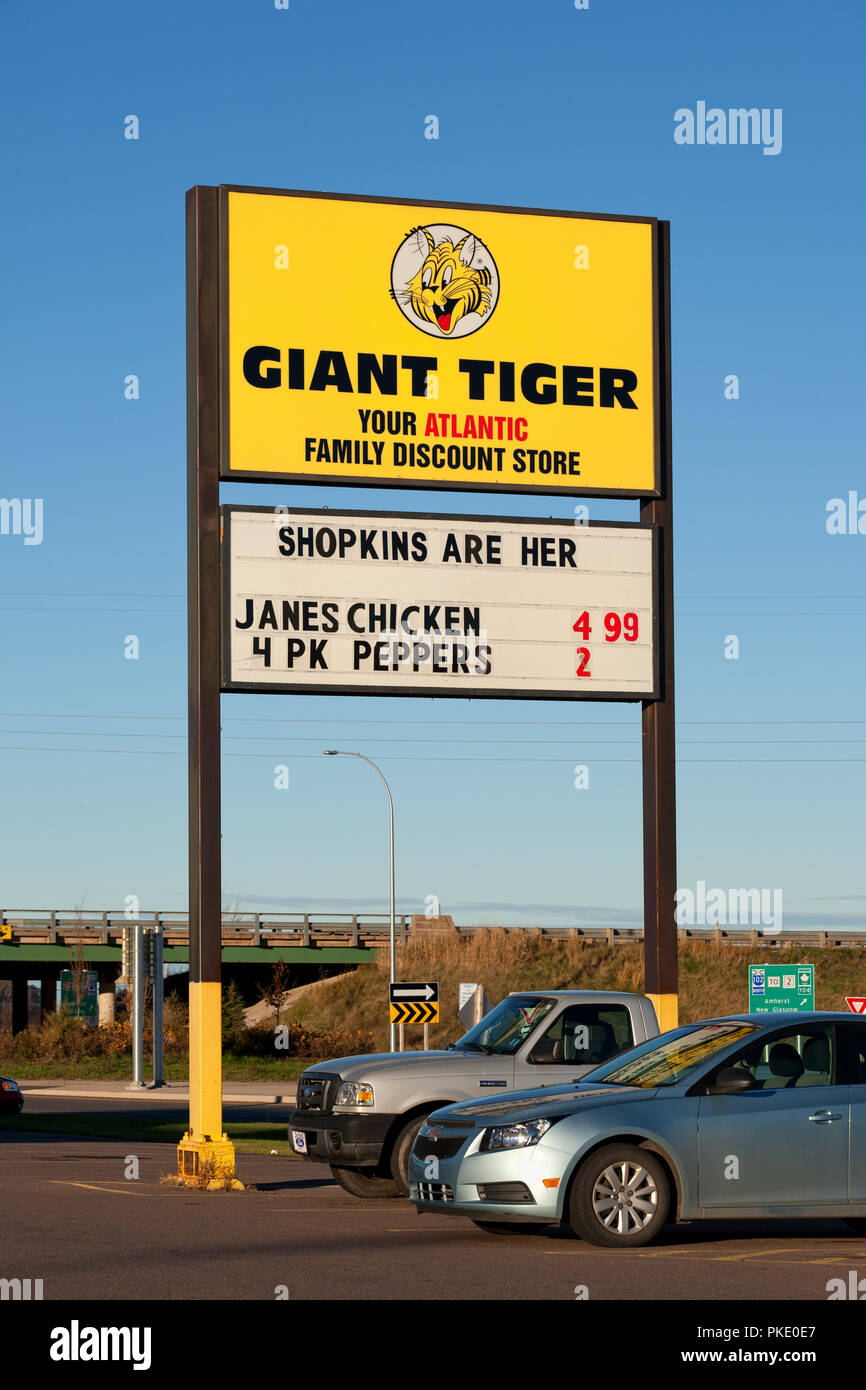 TRURO, KANADA - November 08, 2015: Riesige Tiger Store anmelden. Giant Tiger ist eine kanadische Geschäftskette mit über 200 Geschäften in ganz Kanada. Riesige Tige Stockfoto