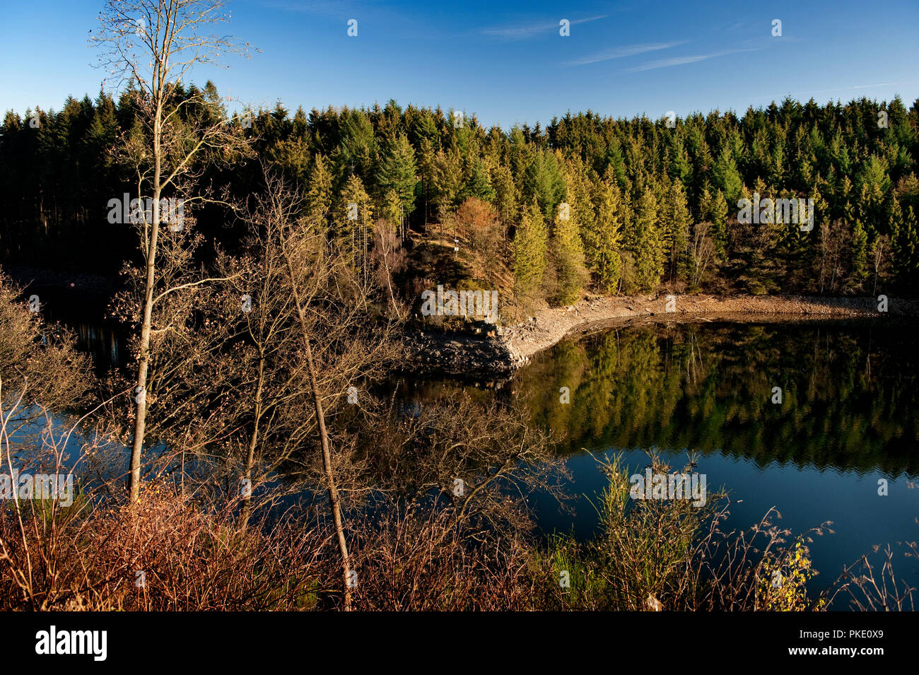 Der künstliche See von Robertville im Hohen Venn (Belgien, 15/11/2011) Stockfoto