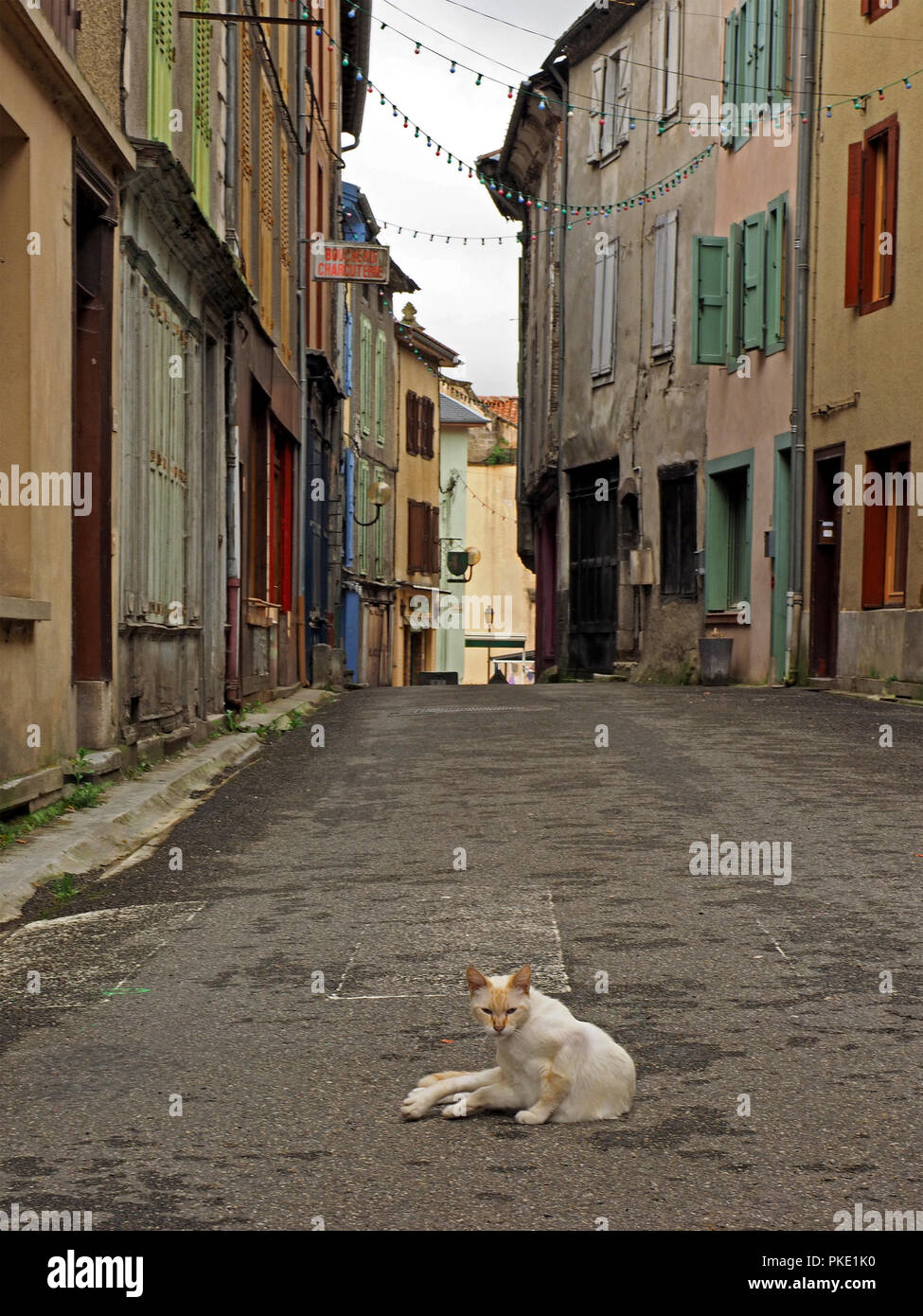Katze sitzt in der Mitte der verlassenen Straße zwischen charakteristischen vernacular Gebäude mit rustikalen Holzmöbeln Fensterläden in der Ariege Pyrenäen, Frankreich Stockfoto