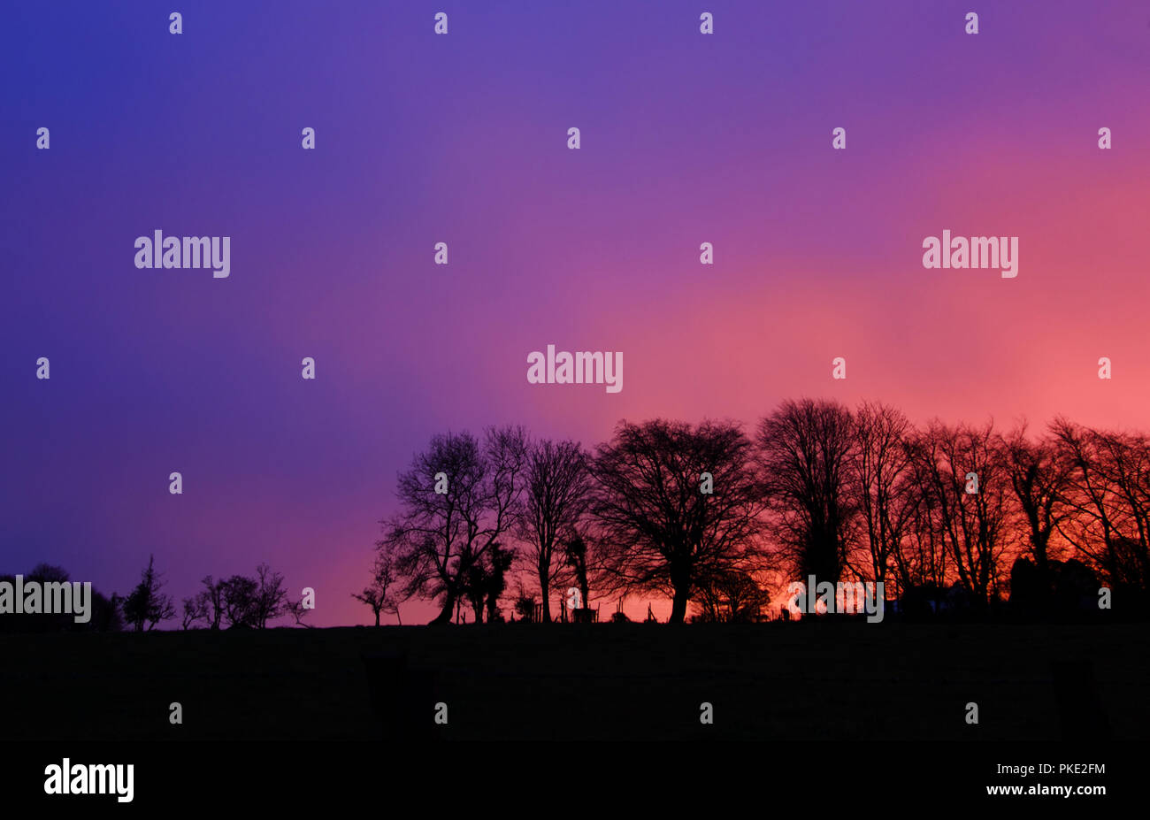 Bunte Sunrise mit Baum Silhouetten Stockfoto