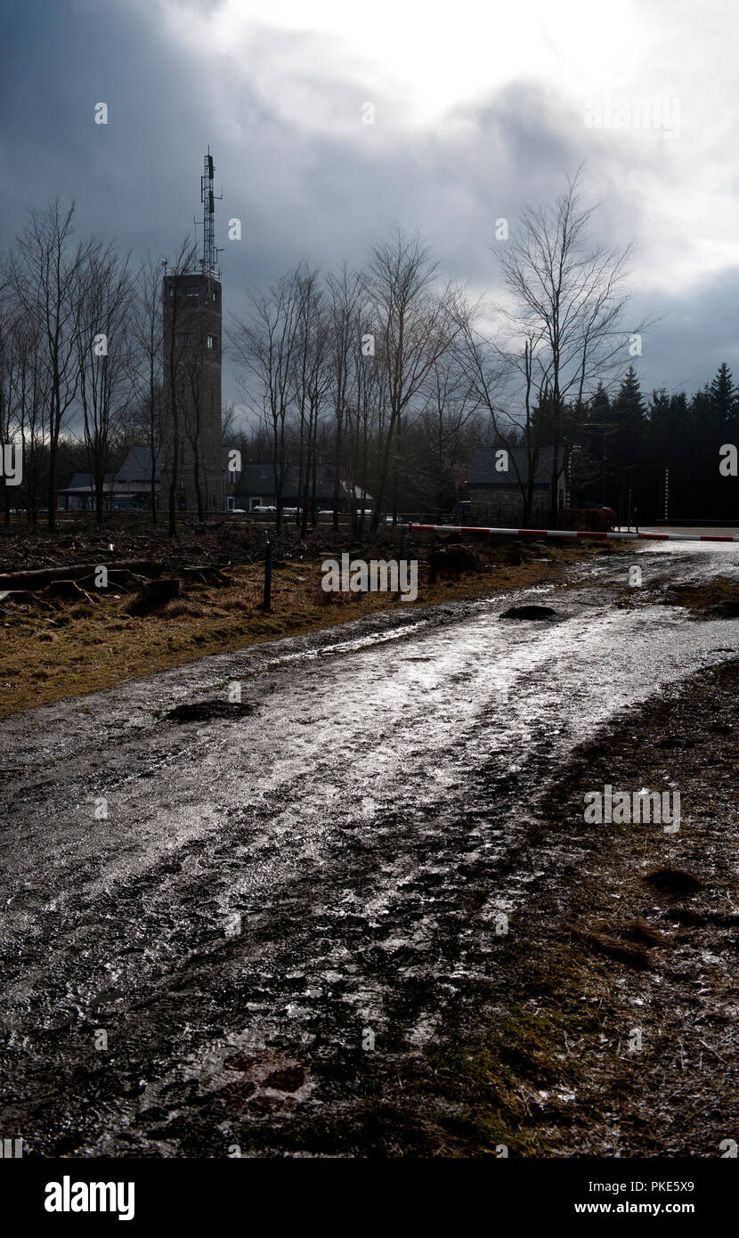 Impressionen von der breiten Plateau des Hohen Venns um Weismes und dem Signal de Botrange, dem größten Naturschutzgebiet in Belgien (Belgien, 23/02/201 Stockfoto