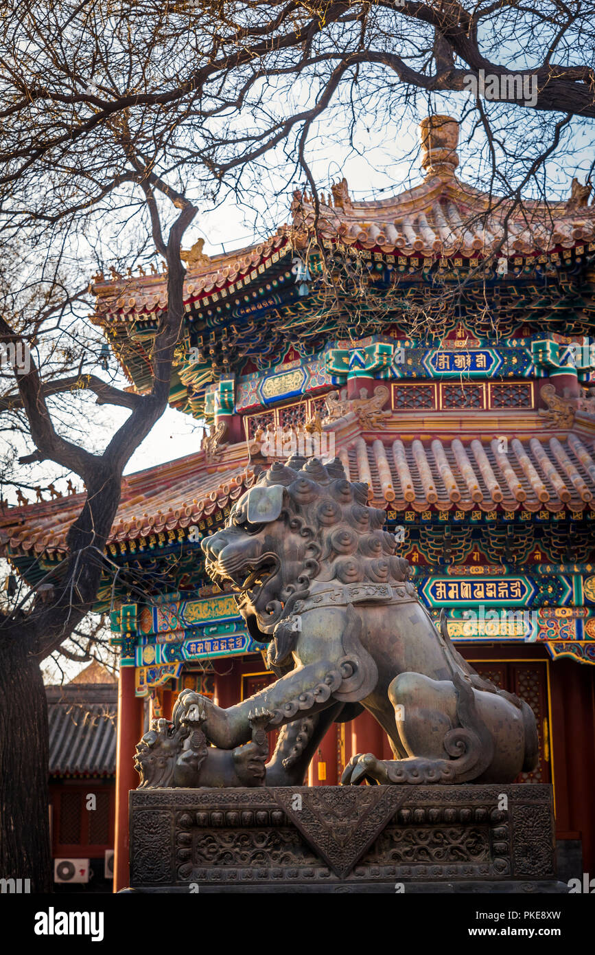 Chinesischen Guardian Lion am Lama Tempel, Dongcheng District, Beijing, China Stockfoto