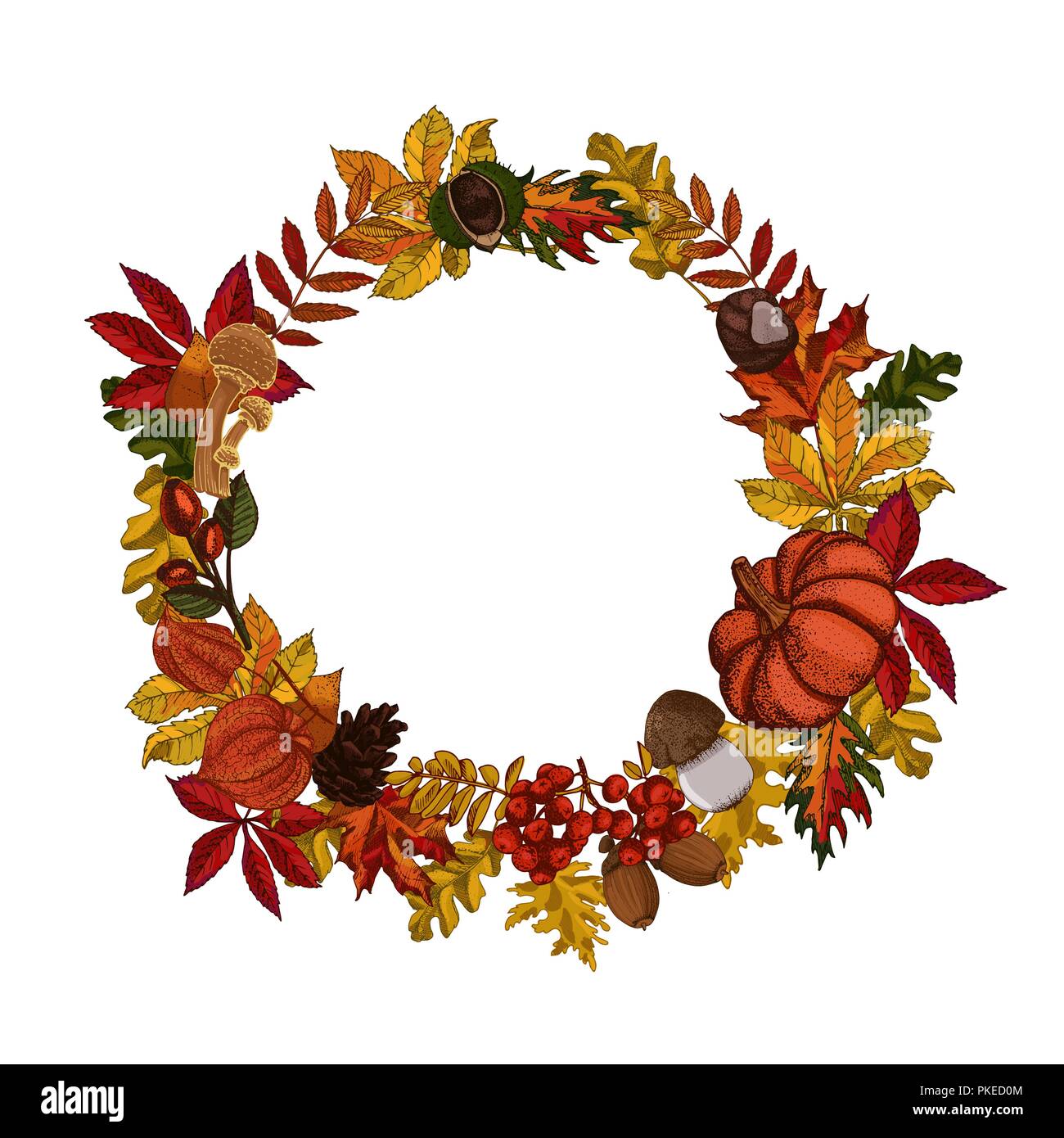 Blätter im Herbst Kranz auf weißem Hintergrund. Herbstliche runden Rahmen mit roten und gelben Blätter und Wald Goodies. Stock Vektor