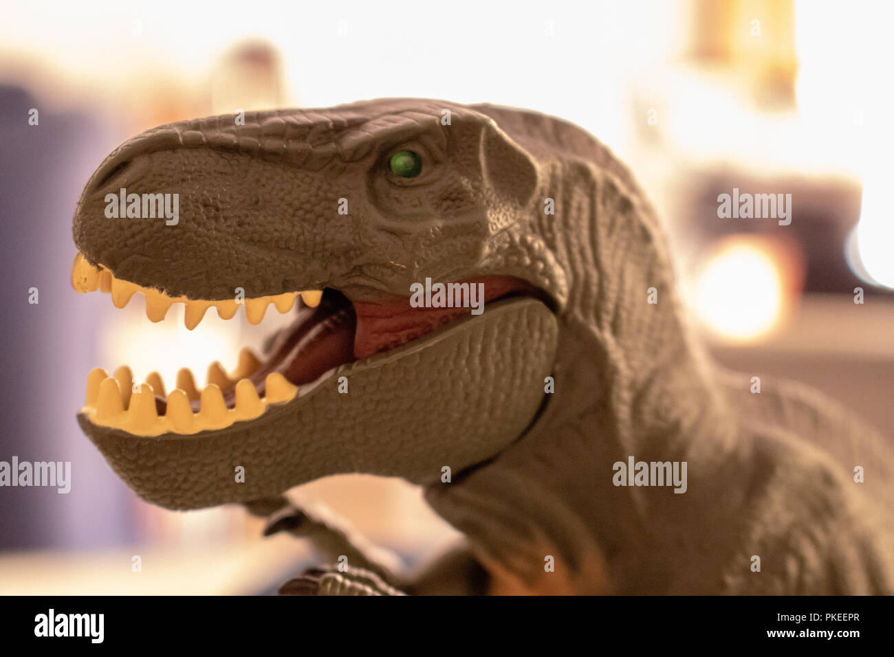 Carnívoro carnívoro tiranosaurio rex -Fotos und -Bildmaterial in hoher