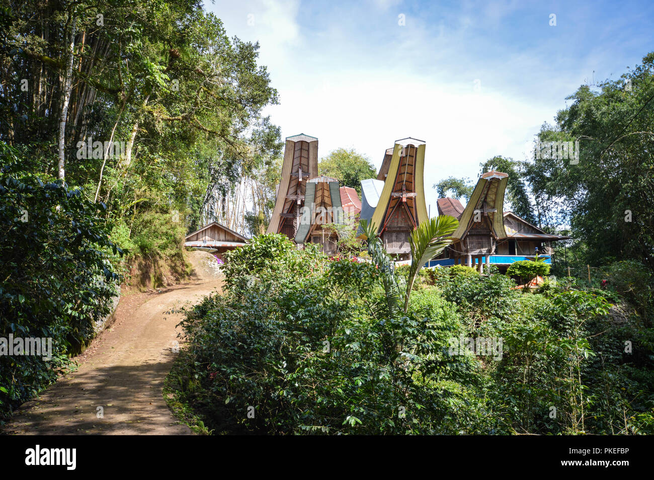 Landschaft mit Kaffeeplantagen und traditionellen Tongkonan Häuser in Tana Toraja Hochland in der Nähe von Batutumongi Dorf. Südsulawesi, Indonesien Stockfoto