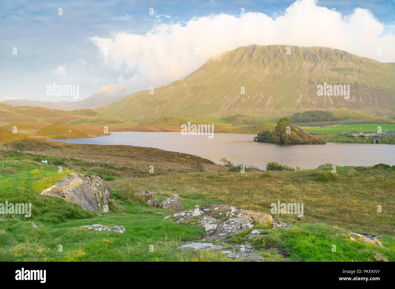 Cregennan Seen Snowdonia National Park, North Wales, UK Stockfoto