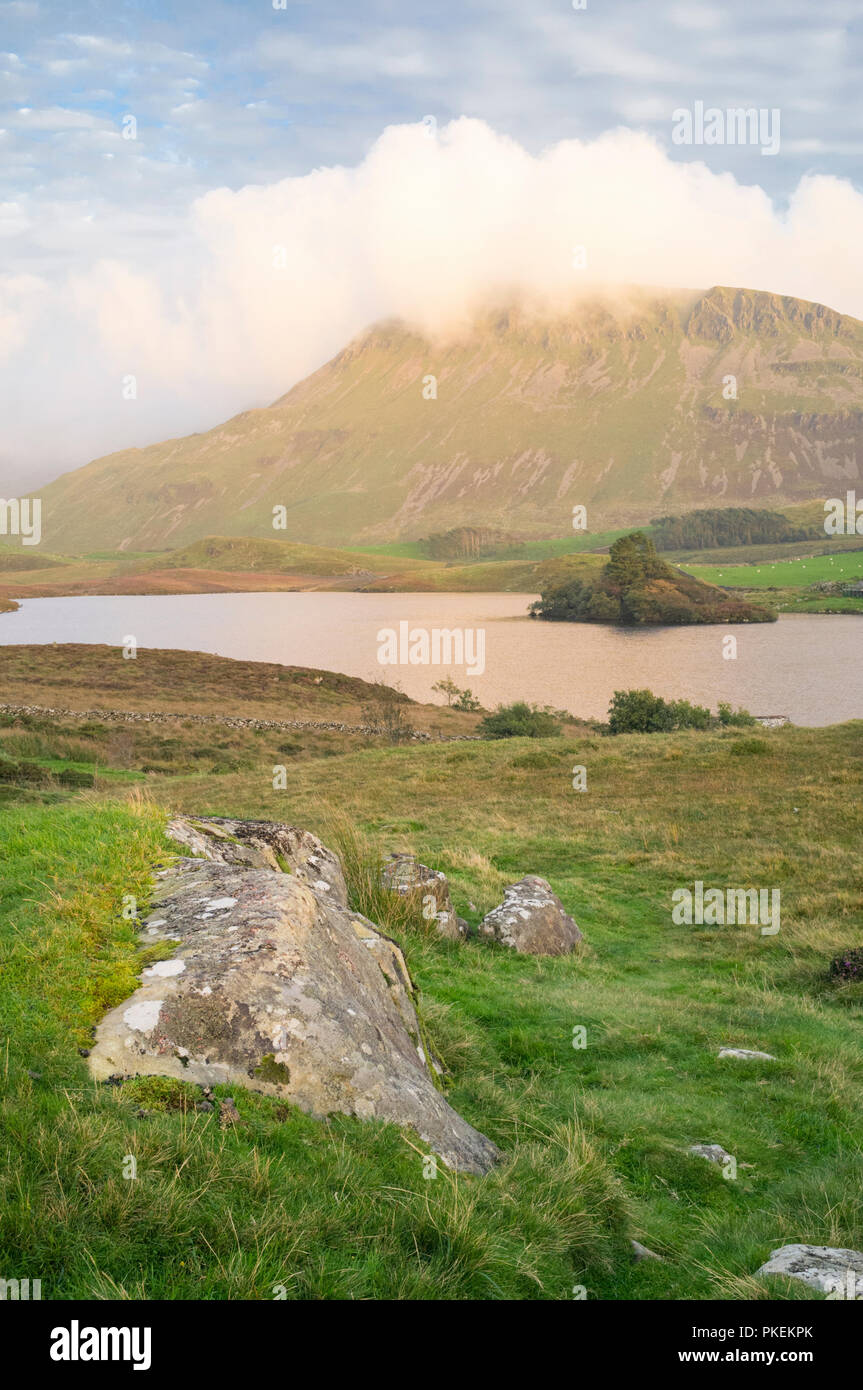 Cregennan Seen Snowdonia National Park, North Wales, UK Stockfoto