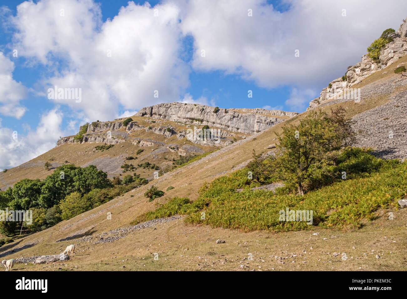 Die Kalkfelsen der Eglwyseg Escarpment über dem Tal von Llangollen, Wales, Großbritannien Stockfoto