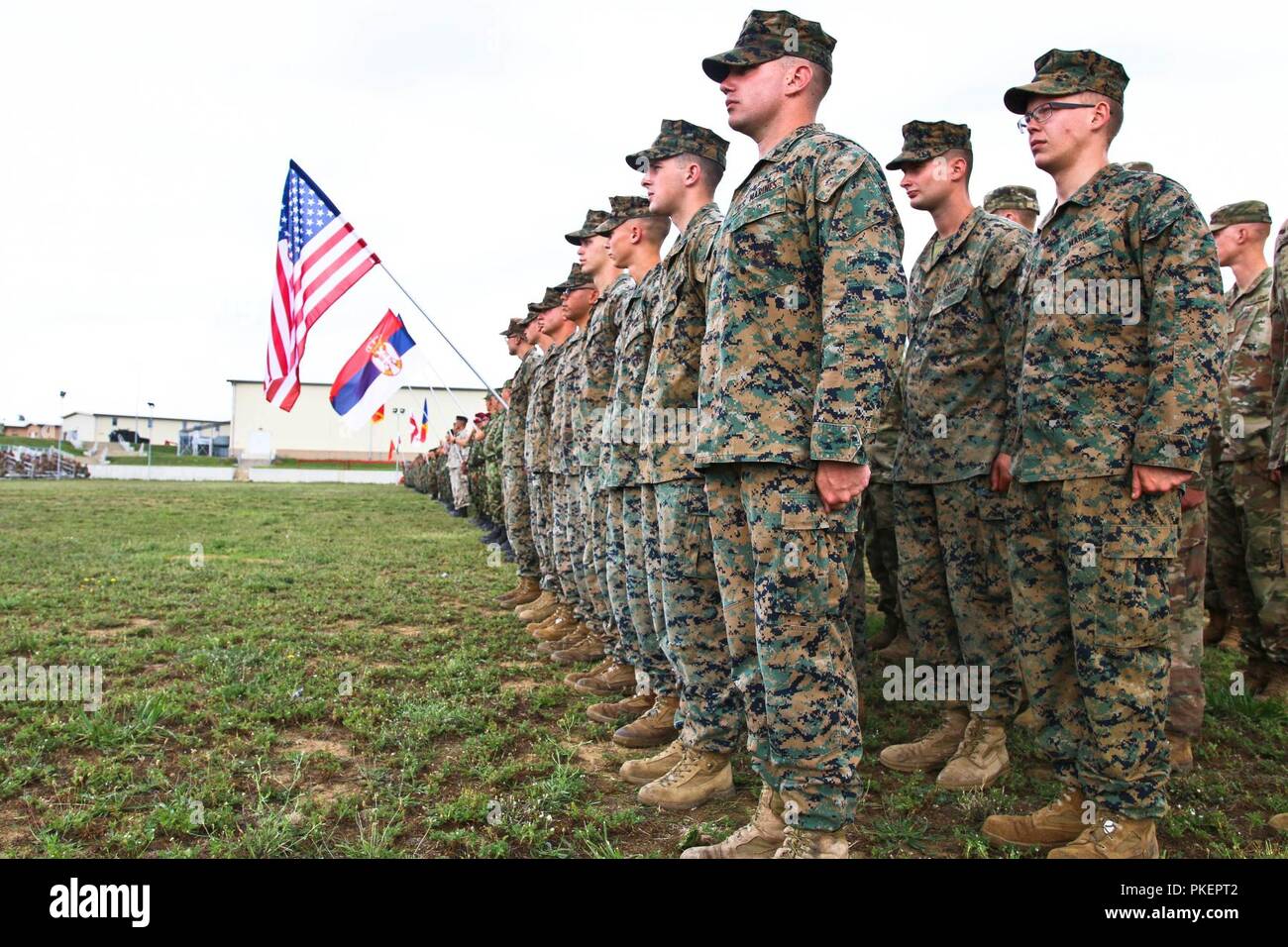 Us-Marines auf das erste Bataillon zugeordnet, 6 Marine Regiment, 2nd Marine Division stellen die USA und stand in der Ausbildung mit den NATO-Verbündeten und Partner Nationen während der Eröffnungsfeier der Übung Platin Lion, Novo Selo, Bulgarien, 30. Juli 2018. Platin Lion ist eine jährliche Übung, fördert die regionale Stabilität und baut dauerhafte Beziehungen mit Partnerstaaten. Stockfoto