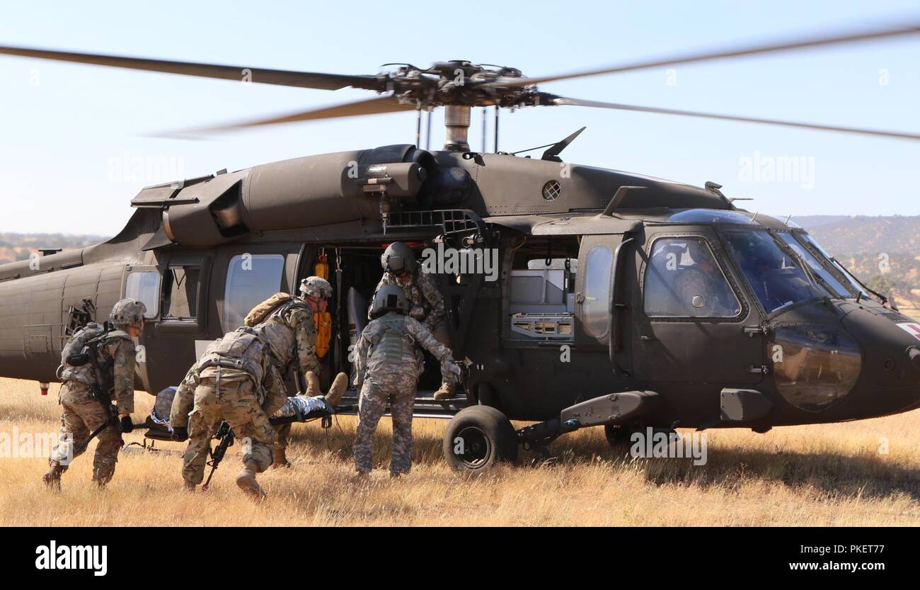 Soldaten aus 141 Der 41St Infantry Brigade Combat Team Brigade Support Bataillons mit einem Wurf einen simulierten Unfall auf ein UH-60 Black Hawk Hubschrauber während einer medizinischen Evakuierung zu laden, 27. Juli 2018 im Camp Roberts, Kalifornien. Die 41 IBCT ist die Durchführung einer groß angelegten Übung bekannt als exportierbar Combat Training (XCTC) Vom 21. Juli bis Aug. 12 platoon Kenntnisse über die Feuerwehr in Abstimmung mit der ersten Armee zu zertifizieren. "Diese Übung hält unsere Einheiten ausgebildet und bereit für Missionen und baut auf der Ausbildung des Brigade aus dem letzten Jahr Warfighter Exercis Stockfoto