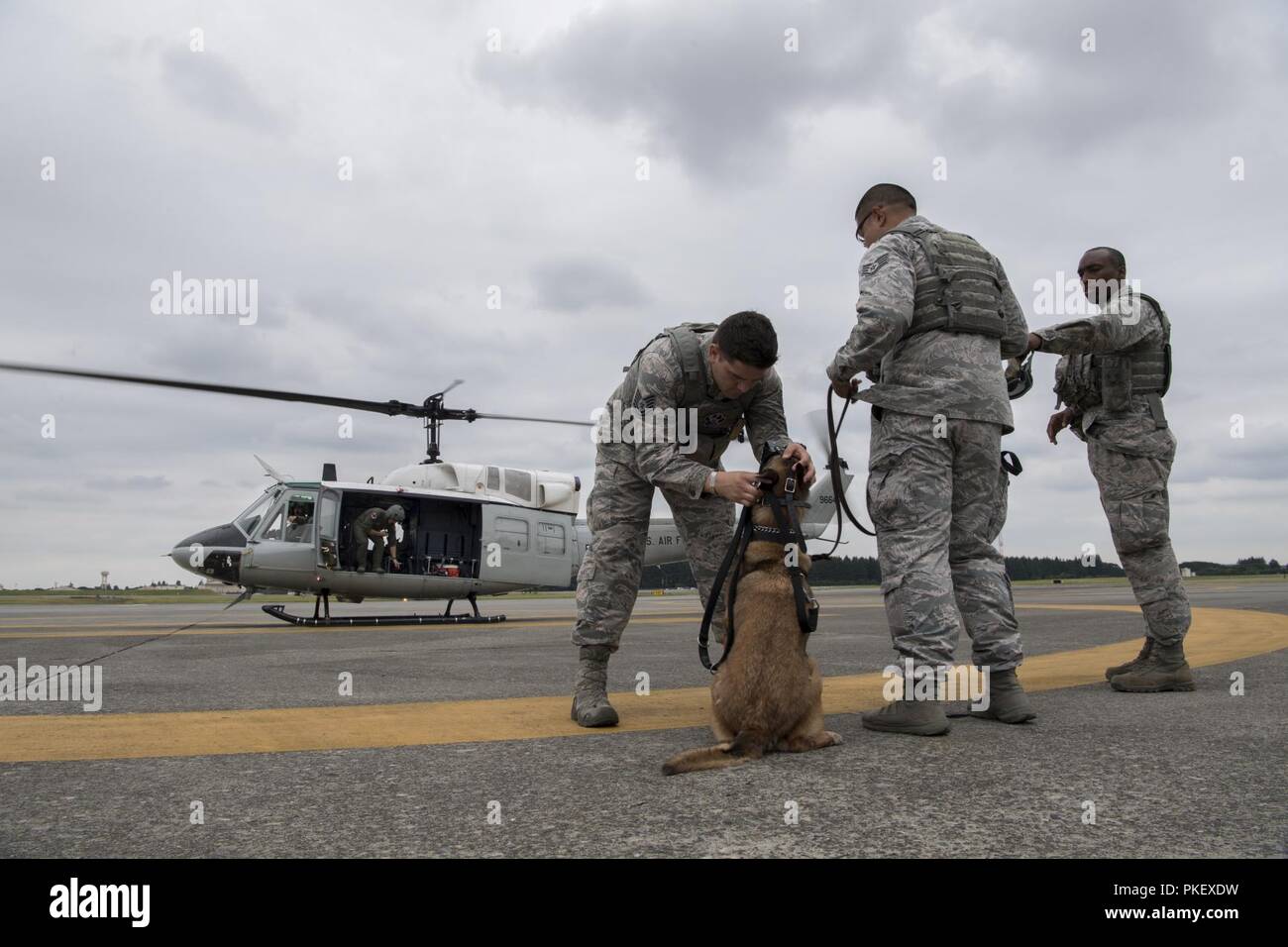 Tech. Sgt. Jordan, Gunterman 374 Sicherheitskräfte Squadron NCO verantwortlich für die militärische Gebrauchshund abschnitt, schaut über Diesel, 374 SFS MWD, vor dem Boarding Ein UH-1N Hubschrauber während eines 459th Airlift Squadron MWD Einarbeitung Flug Juli 26, 2018, Yokota Air Base, Japan. Die Ausbildung zwischen der 459 und 374 SFS MWD-Abschnitt hilft Interoperabilität zwischen Einheiten fördern und unterstützt eine breite Palette von Sicherheitsfunktionen gewährleisten. Stockfoto