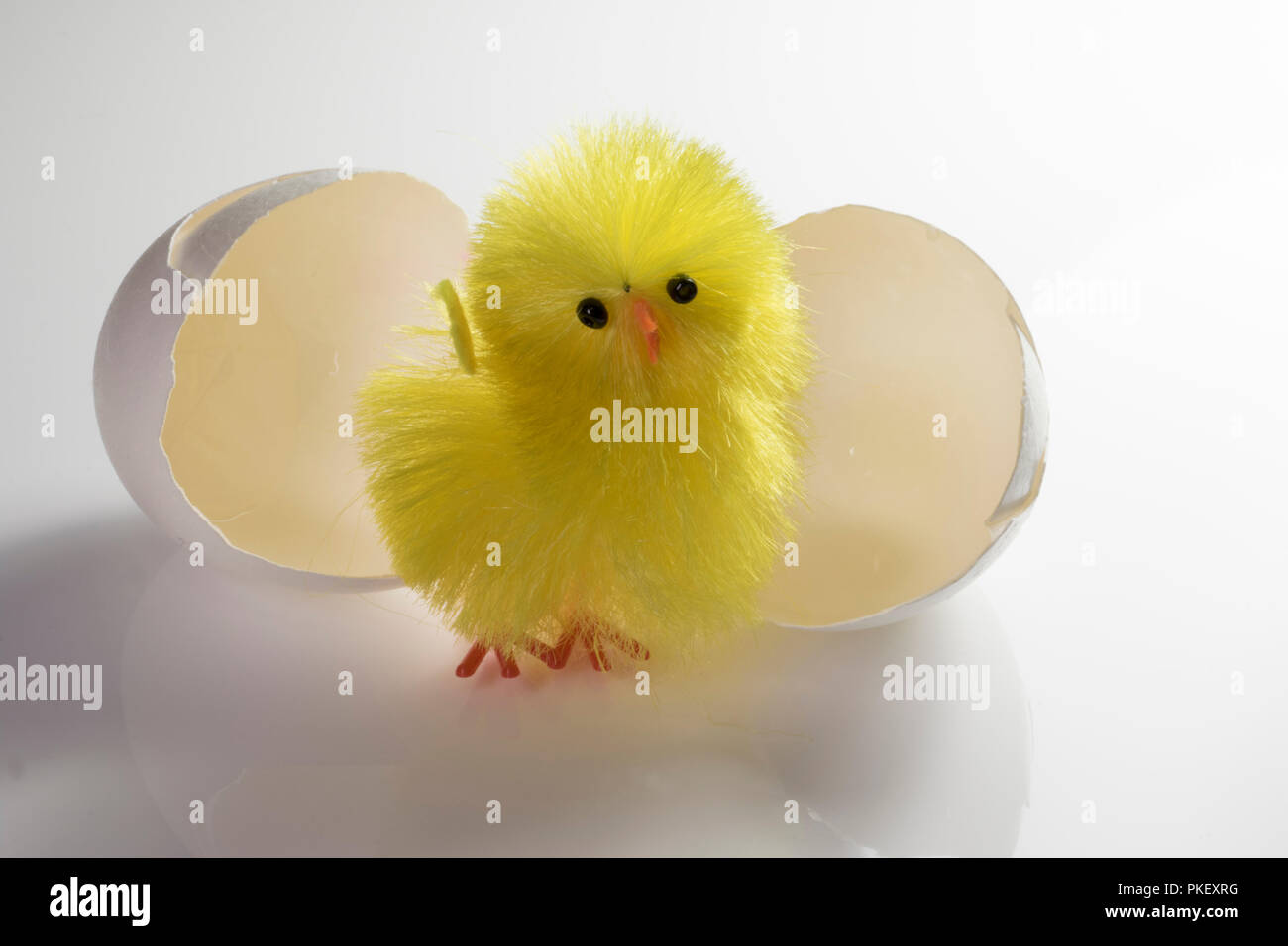 Baby chick und rissig Ei. Spielzeug vogel Schlüpfen aus dem Ei Shell  Stockfotografie - Alamy