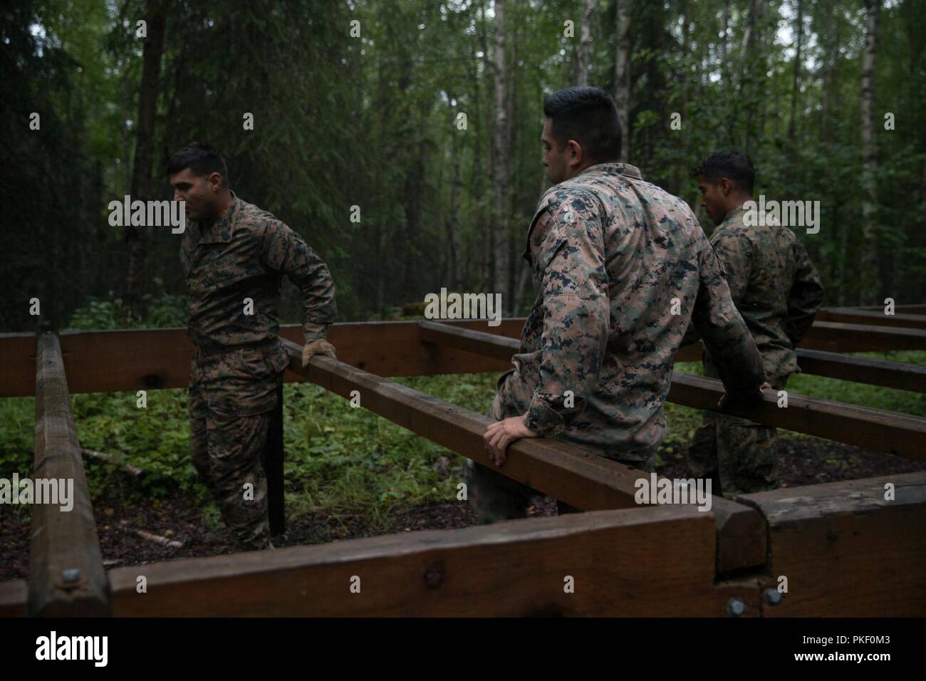 Marines mit Charlie Company, 1.Bataillon, 23 Marine Regiment, konkurrieren in der 4. Marine Division jährliche Rifle Squad Wettbewerb, packen Sie eine zweistündige timed Hindernis Kurs am Joint Base Elmendorf-Richardson, Anchorage, Alaska, 3. August 2018. Super Squad Wettbewerbe wurden entwickelt, um eine 14-Mann Infanterie Squad in ein weites Feld und Live-fire Evolution zu bewerten. Stockfoto