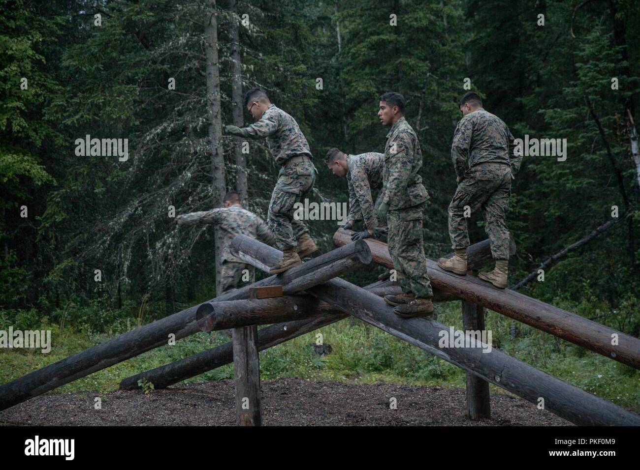 Marines mit Charlie Company, 1.Bataillon, 23 Marine Regiment, konkurrieren in der 4. Marine Division jährliche Rifle Squad Wettbewerb, packen Sie eine zweistündige timed Hindernis Kurs am Joint Base Elmendorf-Richardson, Anchorage, Alaska, 3. August 2018. Super Squad Wettbewerbe wurden entwickelt, um eine 14-Mann Infanterie Squad in ein weites Feld und Live-fire Evolution zu bewerten. Stockfoto