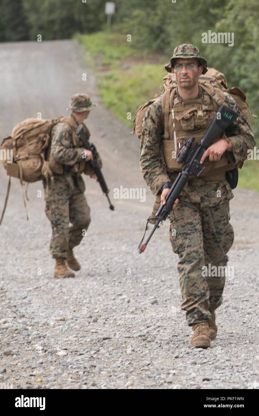 Marines mit Charlie Company, 1.Bataillon, 23 Marine Regiment, konkurrieren in der 4. Marine Division jährliche Rifle Squad Wettbewerb, führen Sie eine Patrouille zu Landing Zone26 am Joint Base Elmendorf-Richardson, Anchorage, Alaska, Aug 3, 2018. Super Squad Wettbewerbe wurden entwickelt, um eine 14-Mann Infanterie Squad in ein weites Feld und Live-fire Evolution zu bewerten. Stockfoto