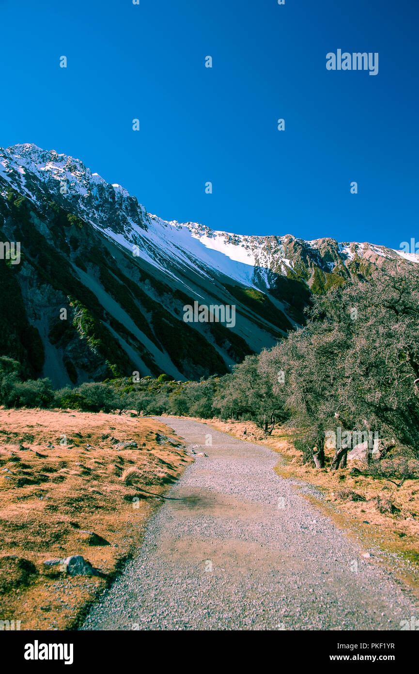 Aoraki Mount Cook von der Hooker Tal Wanderweg. Markanter Unterschied zwischen tief blauen Himmel, weiße schneebedeckte Berge und farbenfrohen Vordergrund Stockfoto