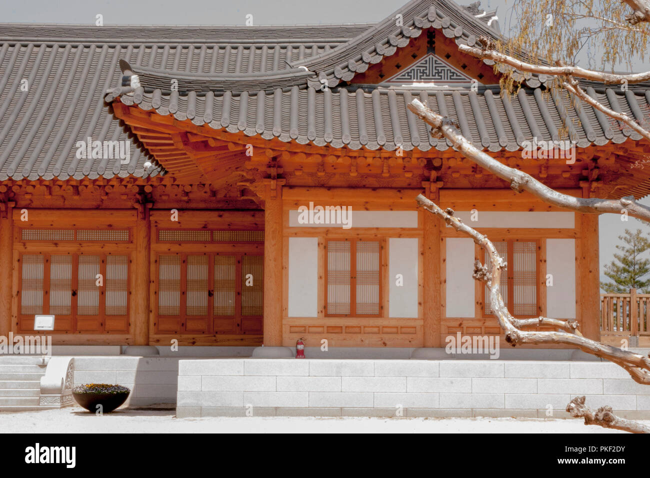 Nahaufnahme eines asiatischen Tempels. Traditionelle asiatische Architektur. Stockfoto