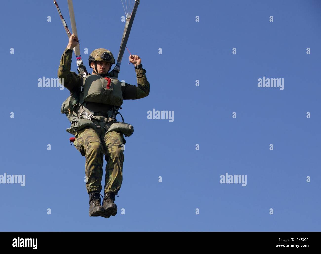 Eine tschechische Fallschirmjäger steigt mit seinem MC-6 Fallschirm auf Schloss Drop Zone bei Leapfest 2018 West Kingston, RI., 5. August 2018. Leapfest ist der größte und am längsten bestehende, internationale statische Linie Fallschirm Training und Wettbewerb veranstaltet vom 56. Truppe den Befehl, Rhode-Island Army National Guard hohe technische Ausbildung zu fördern und Korpsgeist innerhalb der internationalen Gemeinschaft in der Luft. Stockfoto