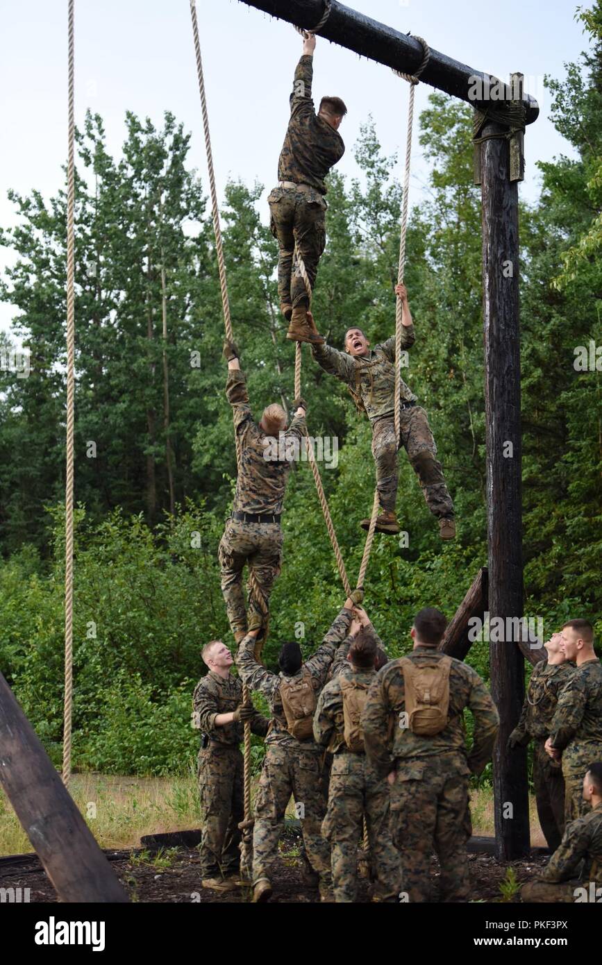 Marines mit 3 Bataillon, 23 Marine Regiment, konkurrieren in der 4. Marine Division jährliche Rifle Squad Wettbewerb, helfen, ein fellow Marine komplette ein Seil klettern am Hindernis Kurs am Joint Base Elmendorf-Richardson, Anchorage, Alaska, 3. August 2018. Super Squad Wettbewerbe wurden entwickelt, um eine 14-Mann Infanterie Squad in ein weites Feld und Live-fire Evolution zu bewerten. Stockfoto